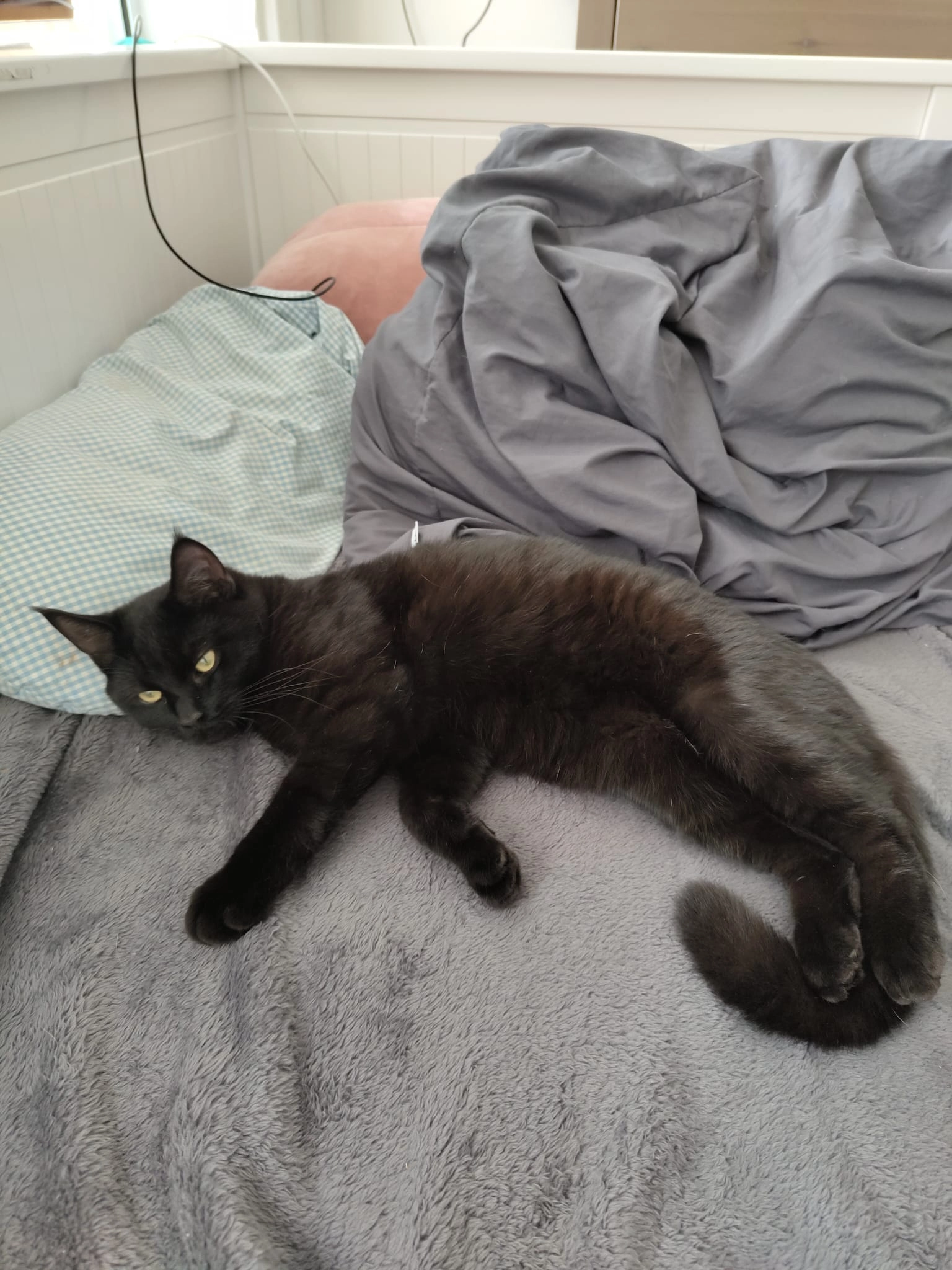 Lou - Bockholmwik 1, Munkbrarup