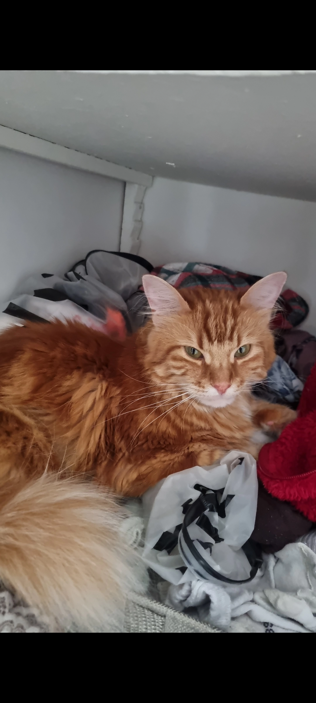 Espoir - 193 Route des Échelards, Myans