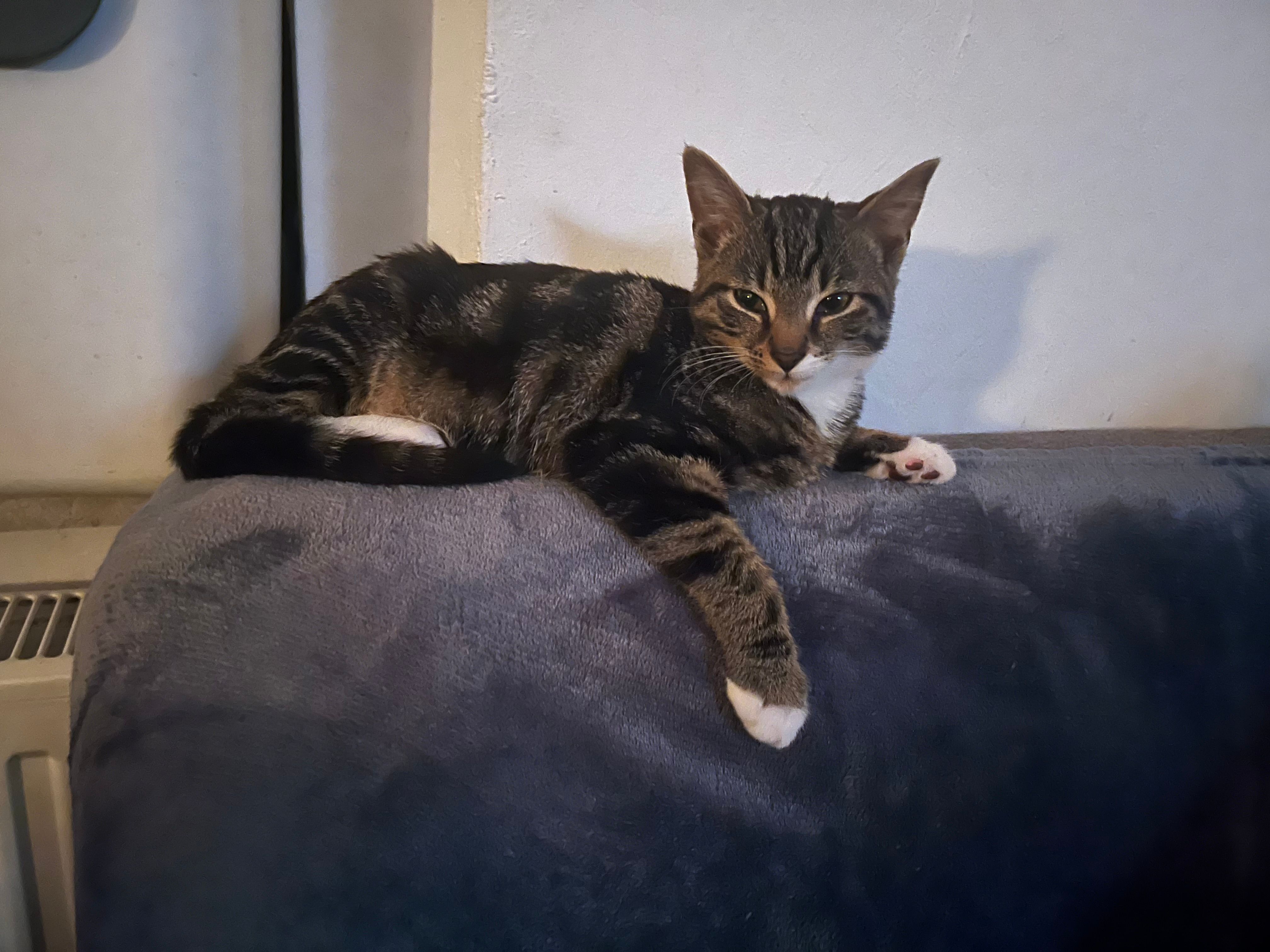 Klaus - Bahnhofstraße, Görlitz