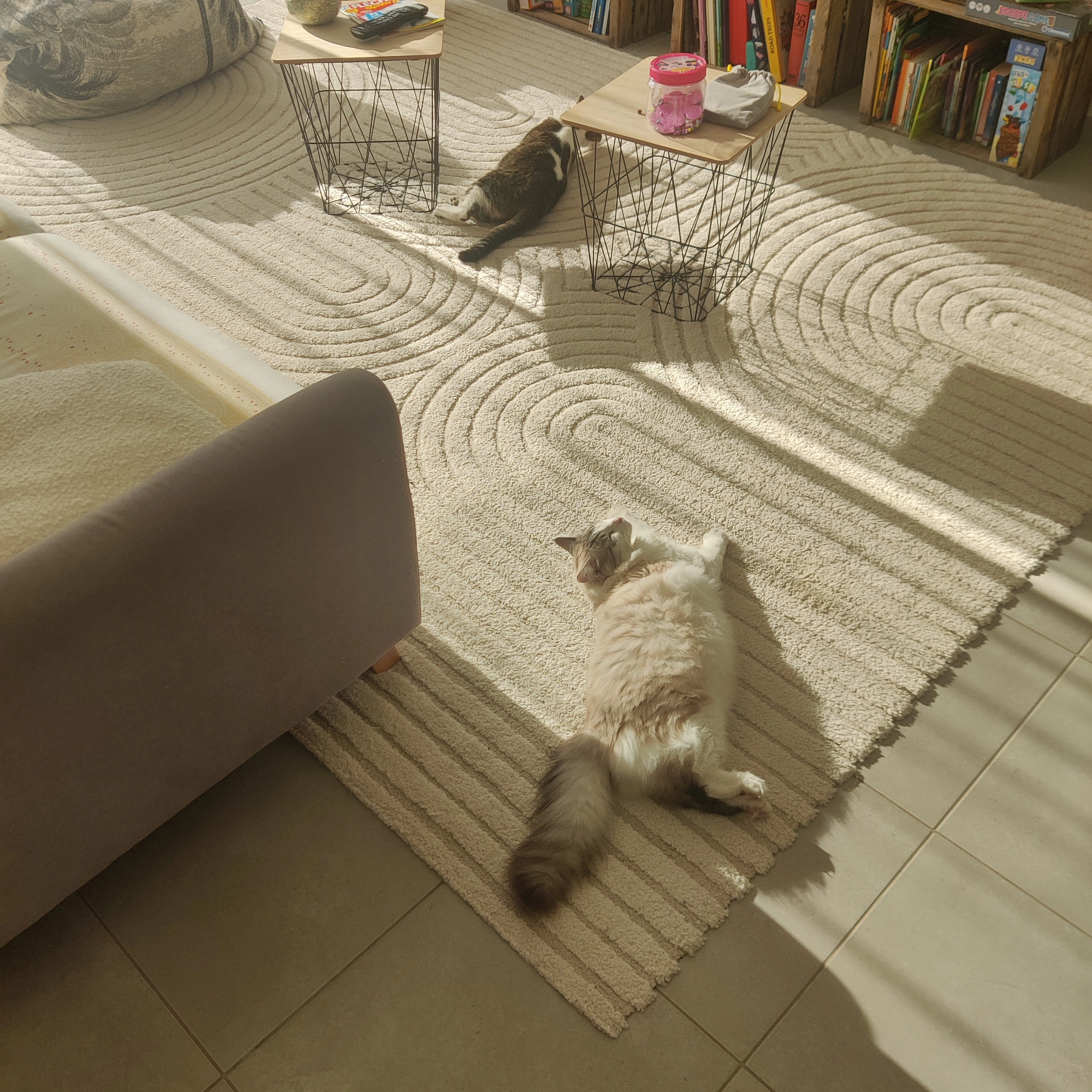 Snow - 12 Rue des Chaumes, Plassay