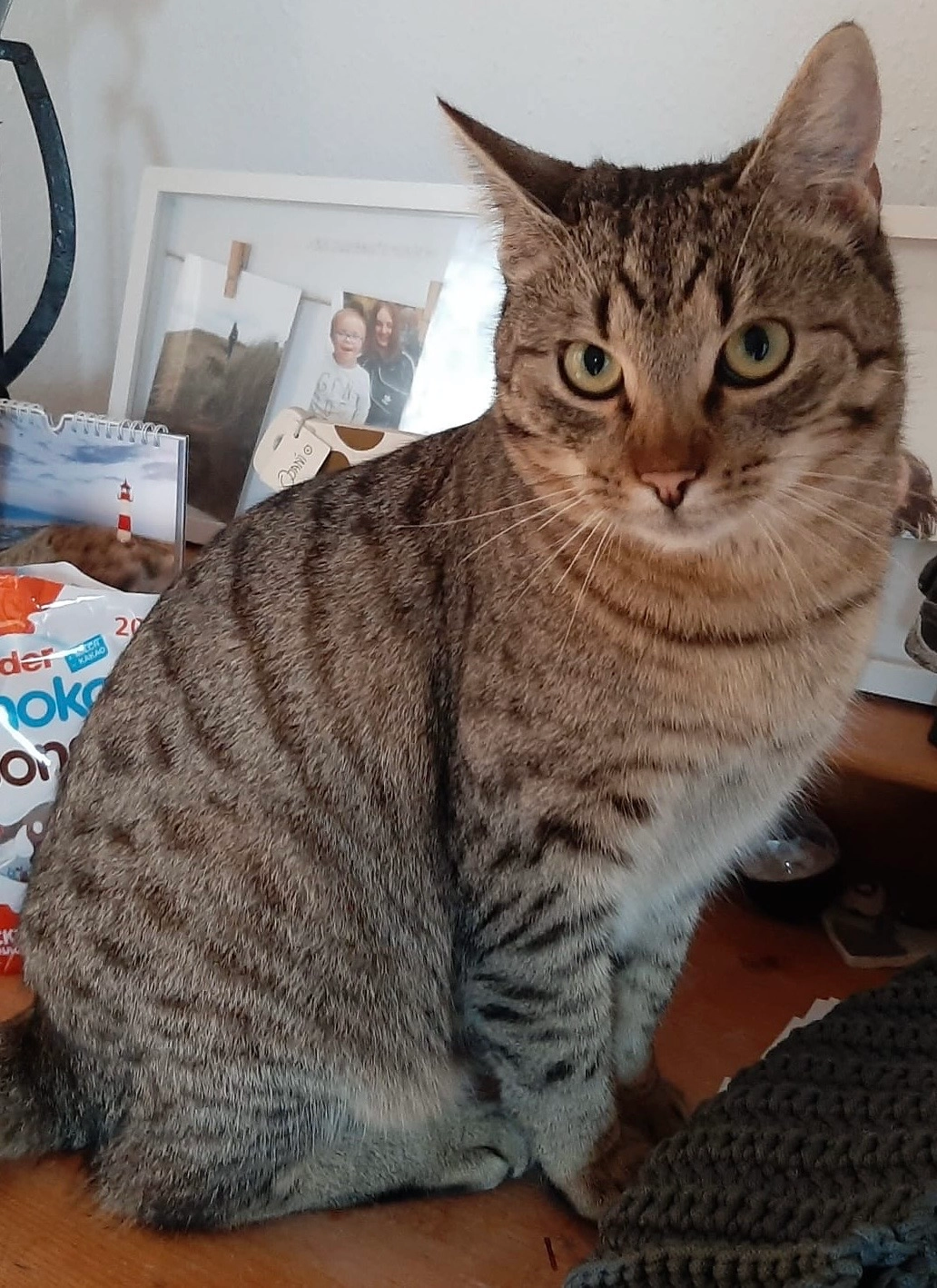 Pablo - Am Zinkenholz, Burkardroth