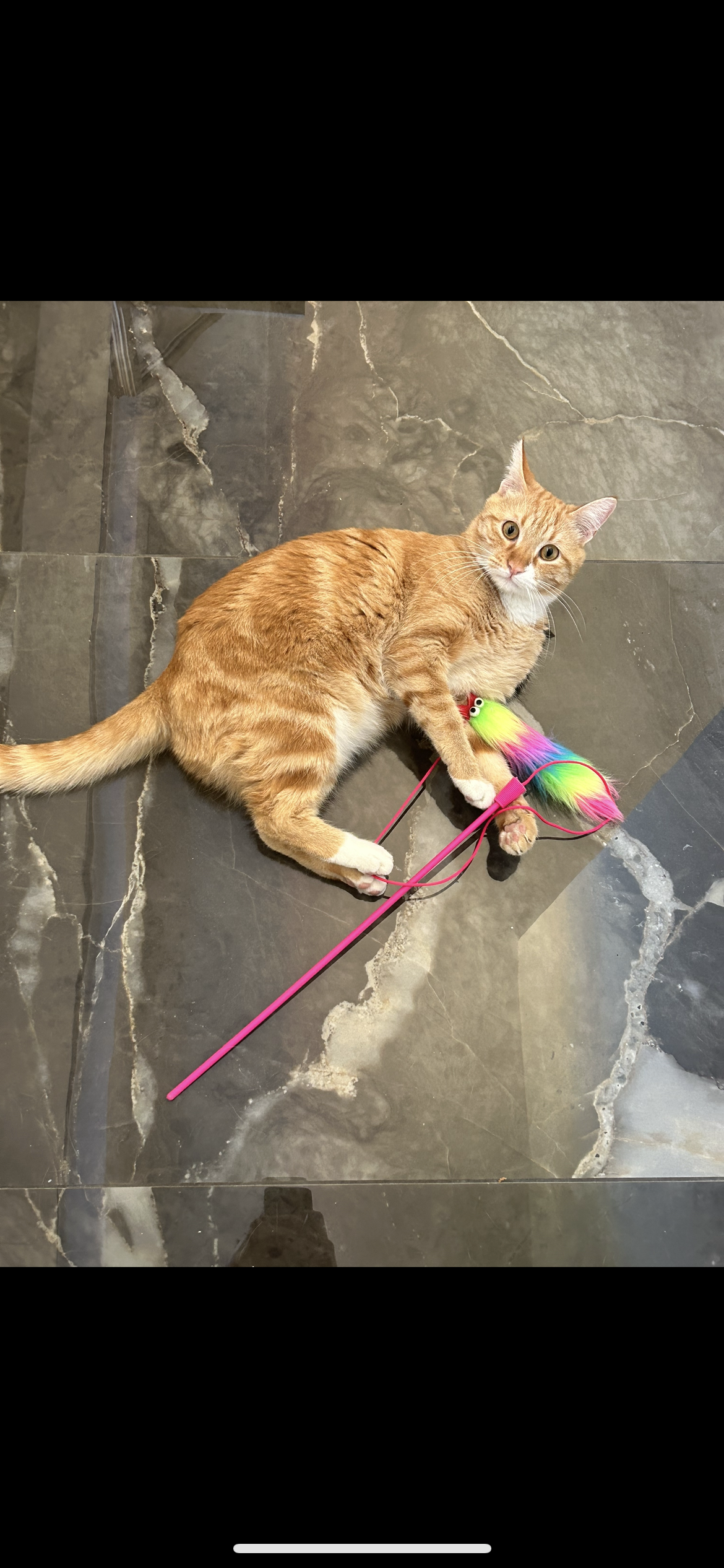 Bilis  - Kassandrou 40, Thrakomakedones