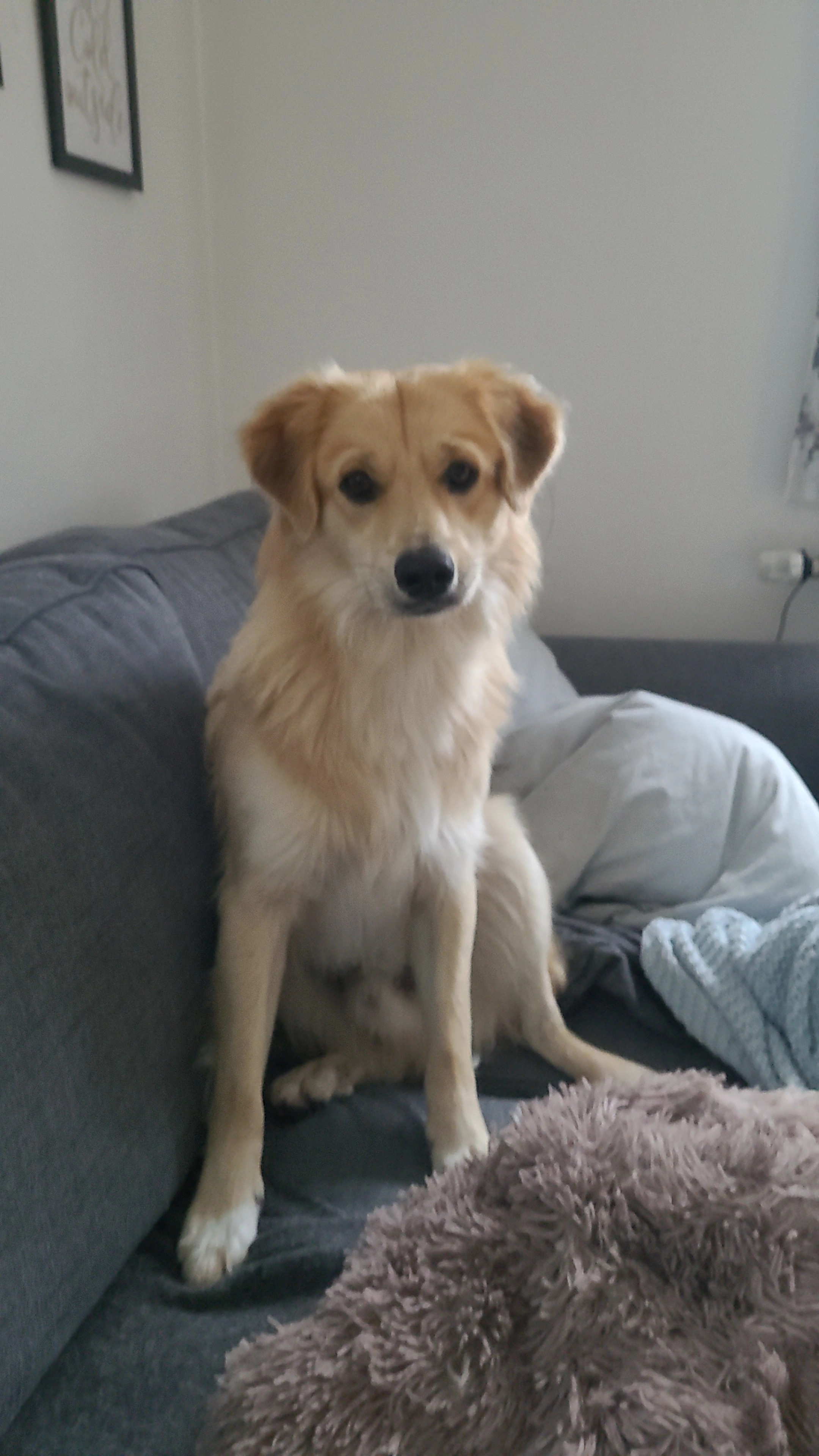 Pauli - Am Rainenbichl, Oberammergau