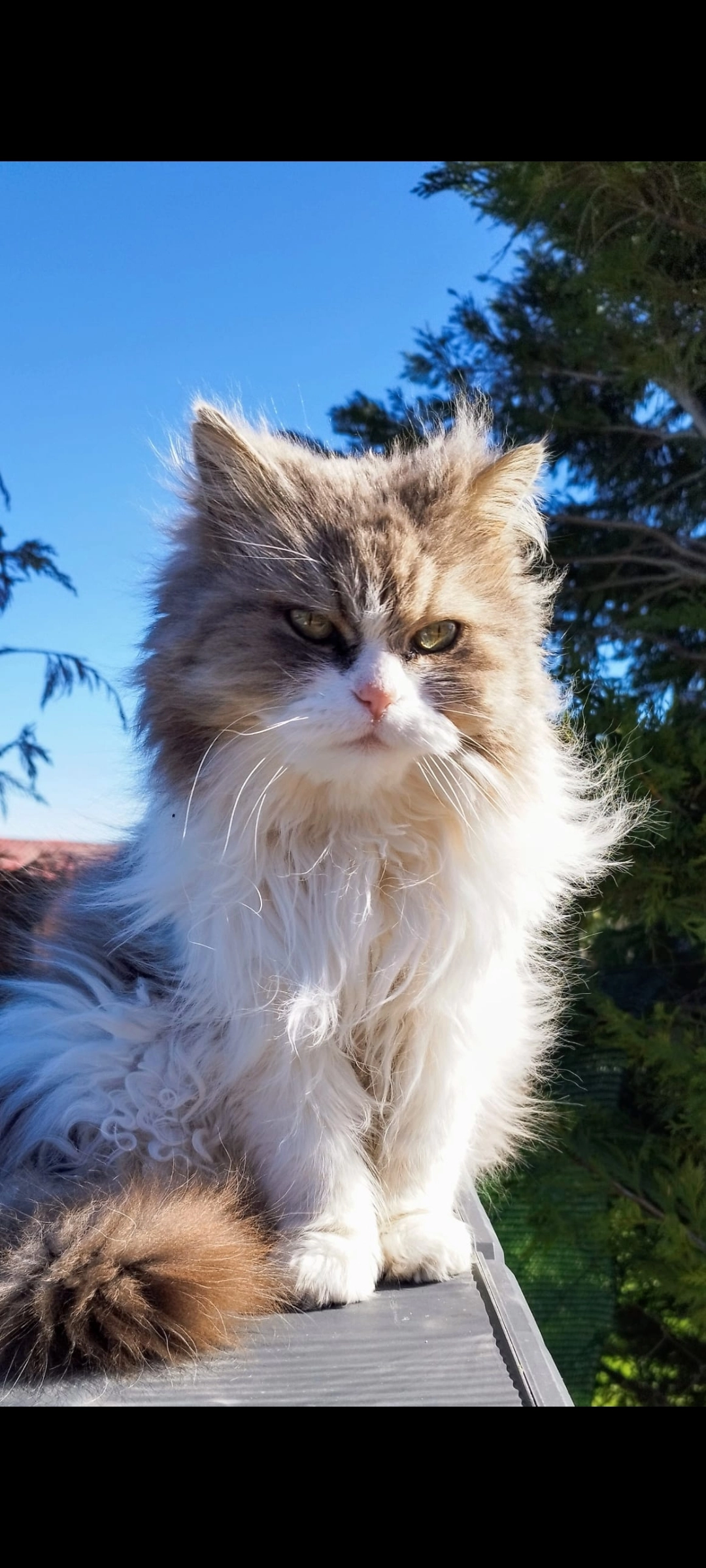 Beny - Cl Andalucia (El Coto), El Casar