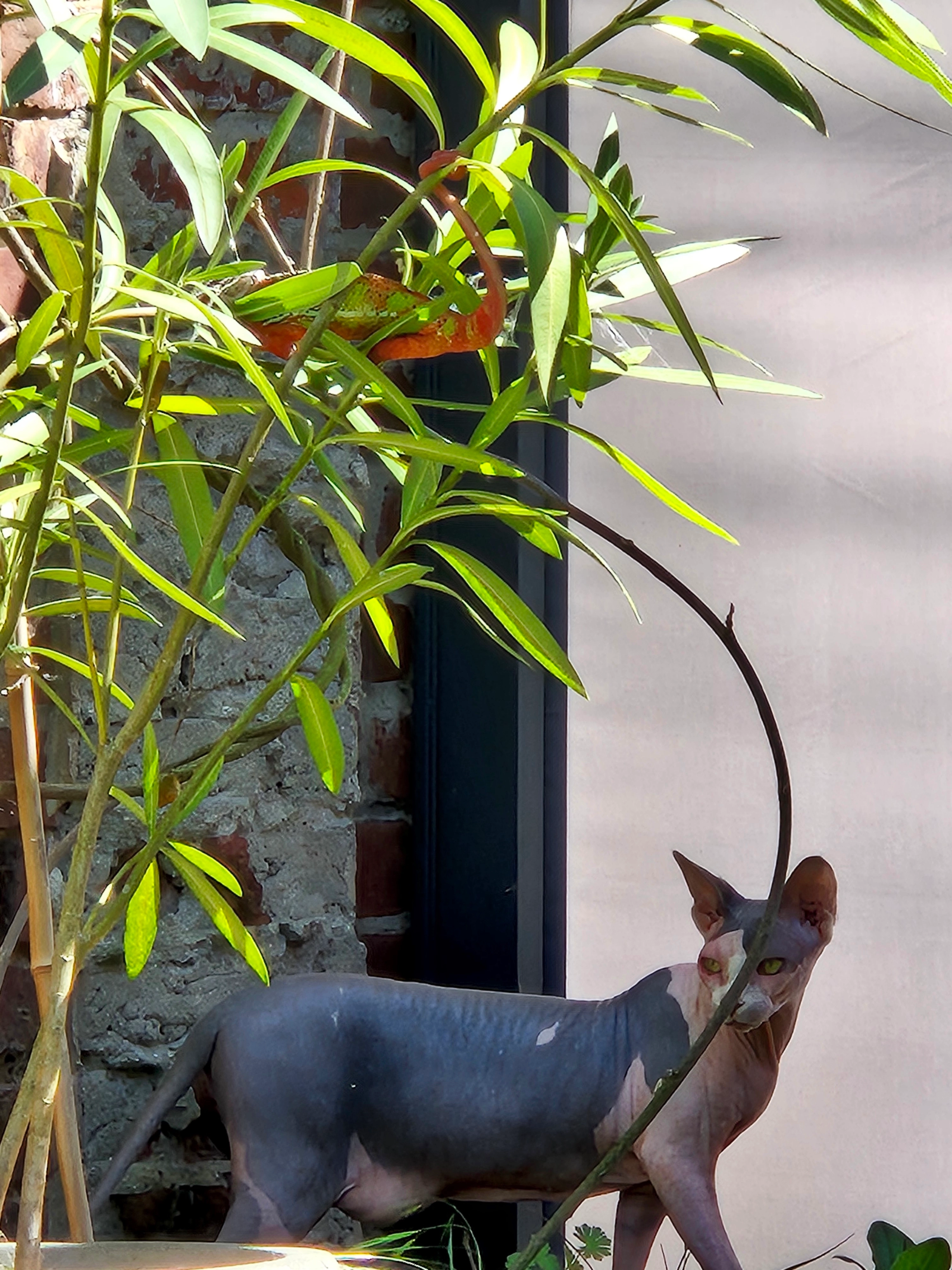 Saori - 75 Route Nationale, Inchy