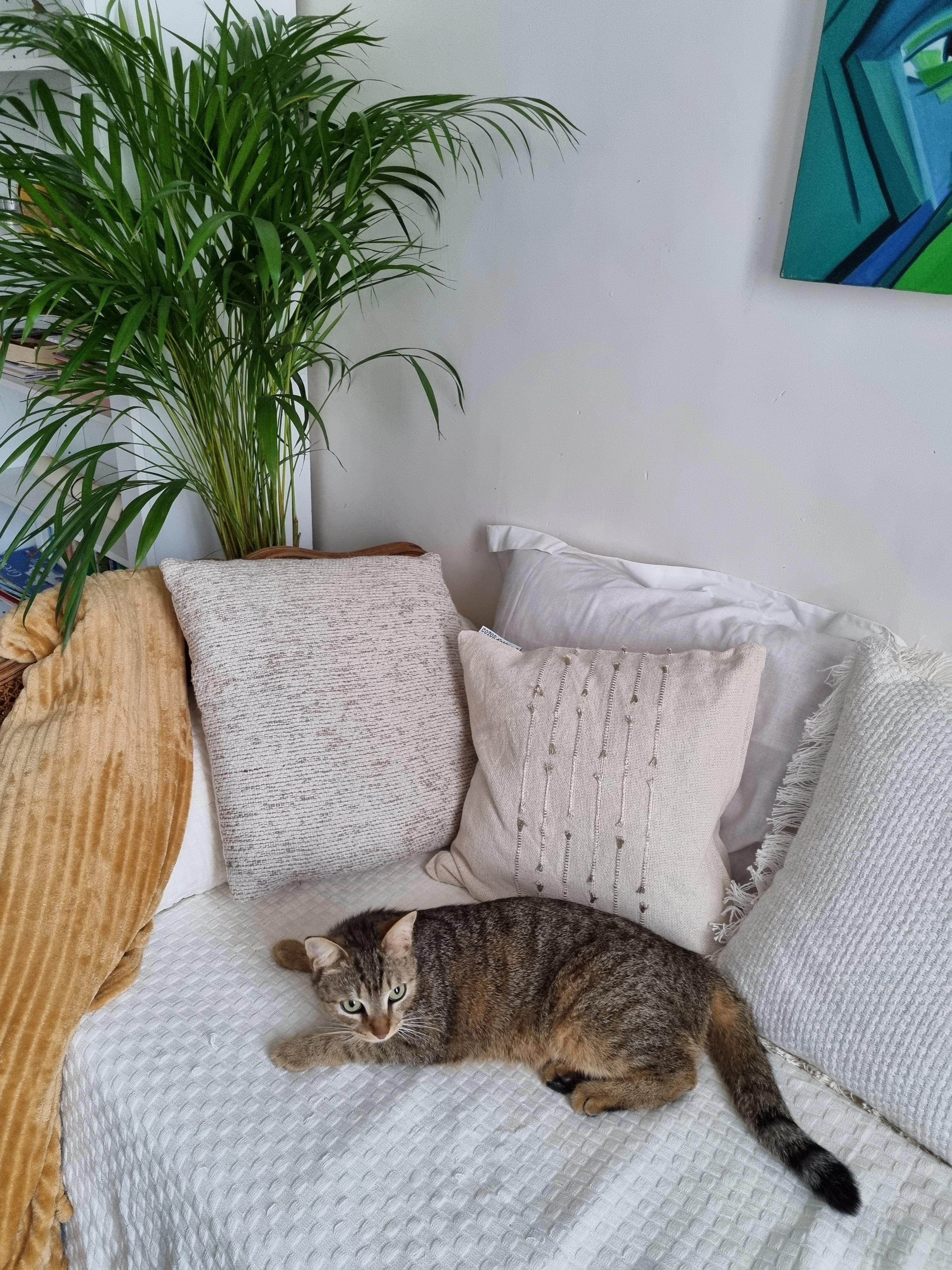 Harvey - Place Du Palais De Justice, Brignoles