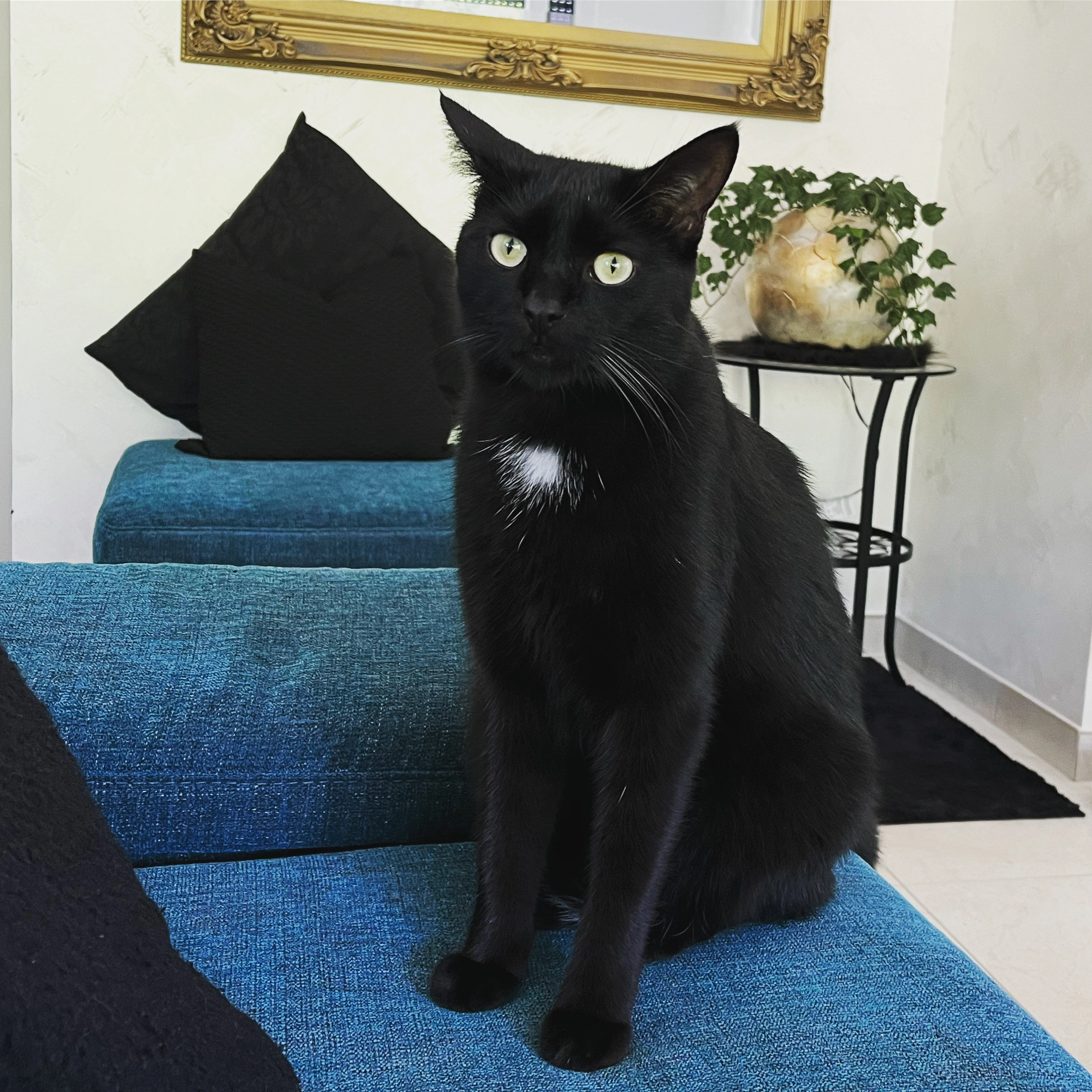 Teufel - Rue des Prés, Kitzing ( Merschweiller )