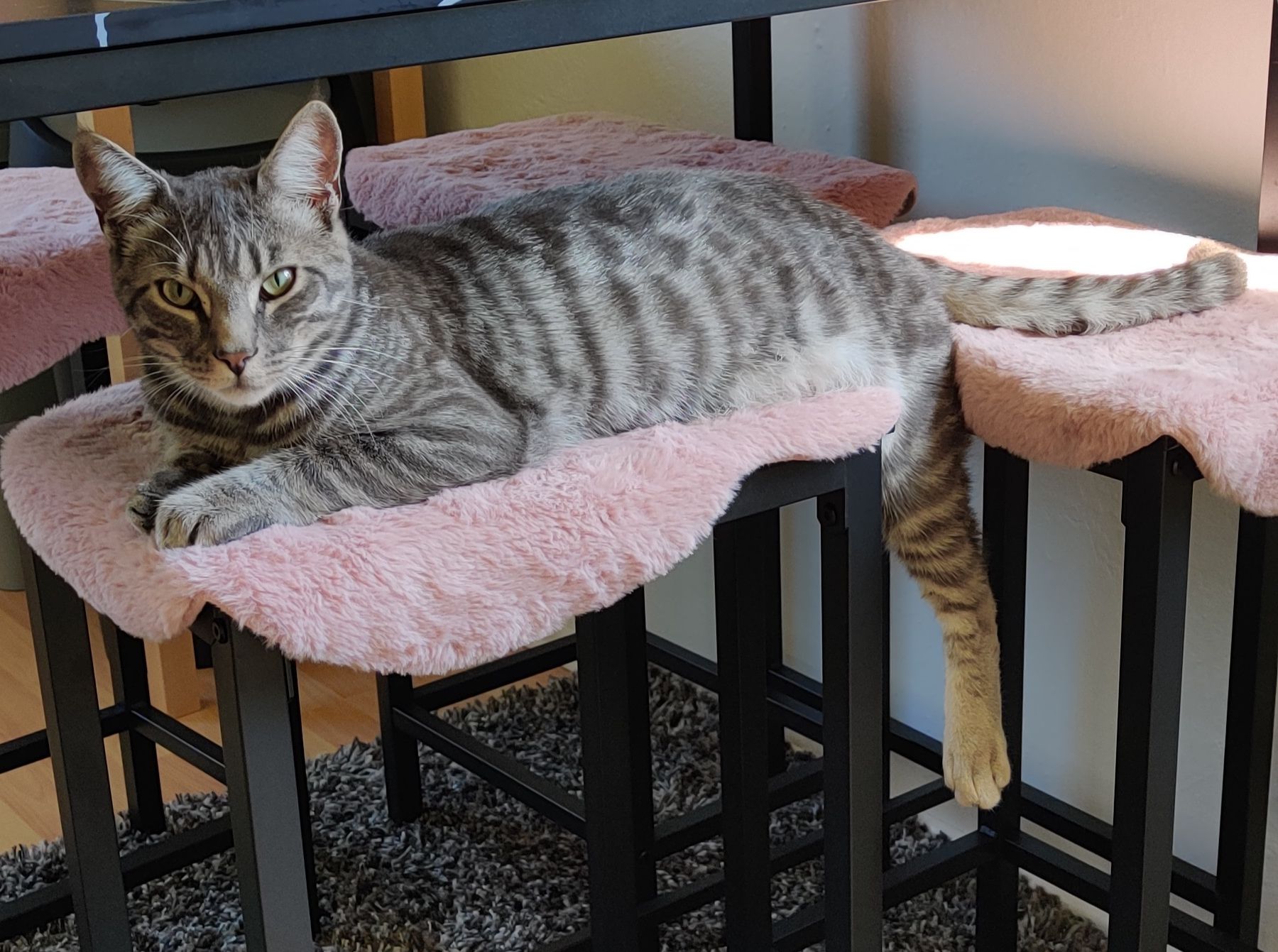 Mogli - Hauptstraße, Huglfing