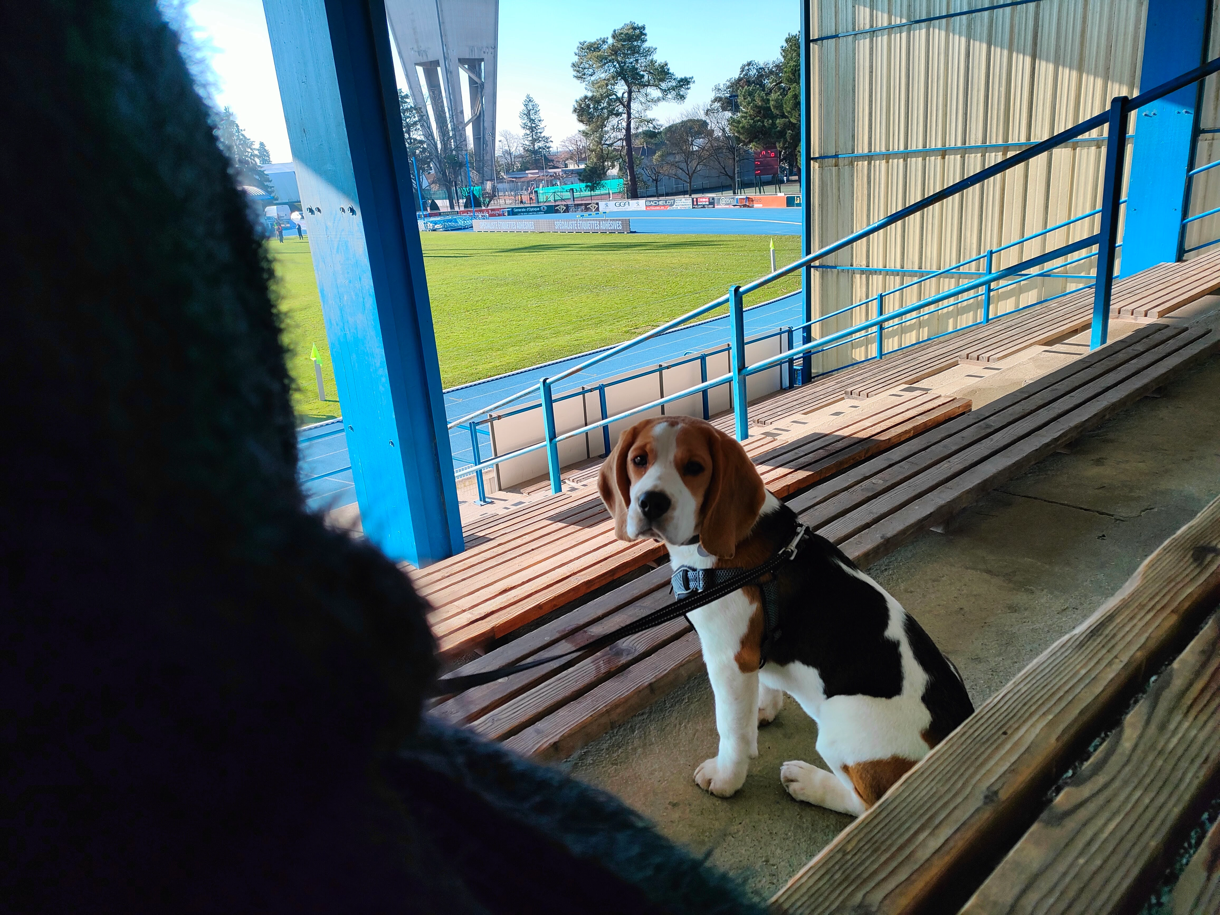 Salammbô  - Route du Milieu, Fontet