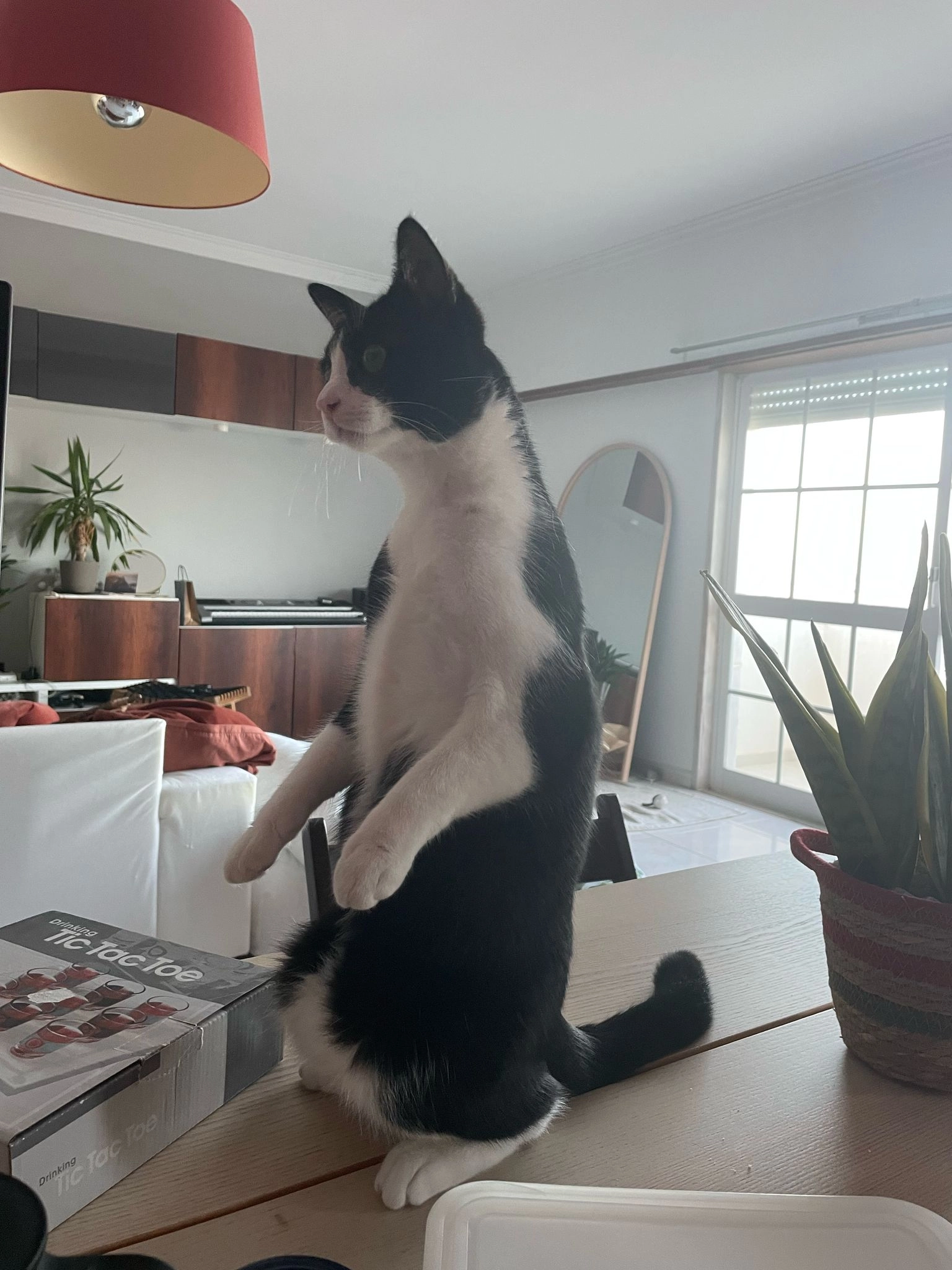 Kiss - Em 550, Ericeira