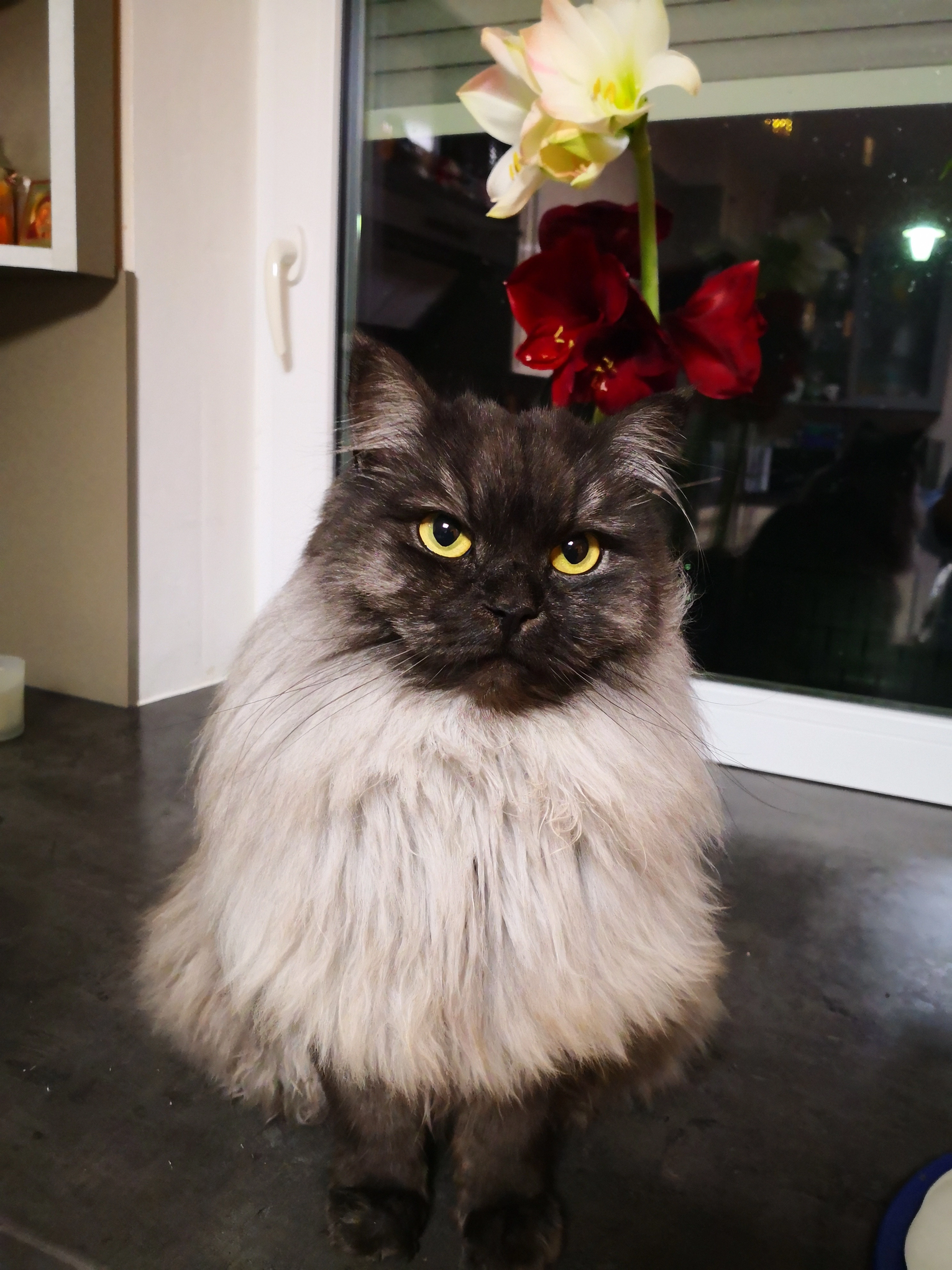 Mailik - Richard-Wagner-Straße, Waldkraiburg