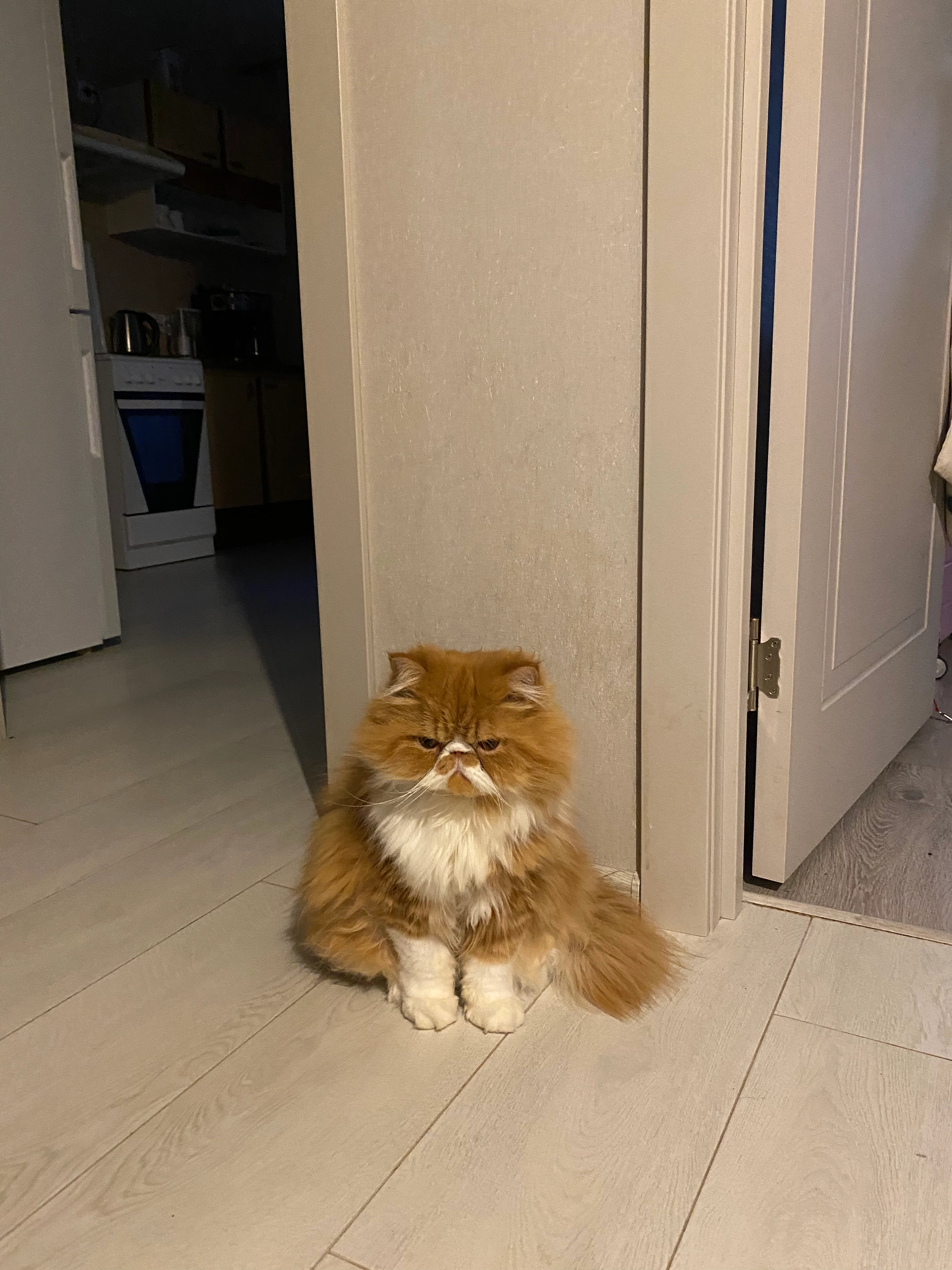 Mango - Улица Др Арчибалда Рајса, Прњавор