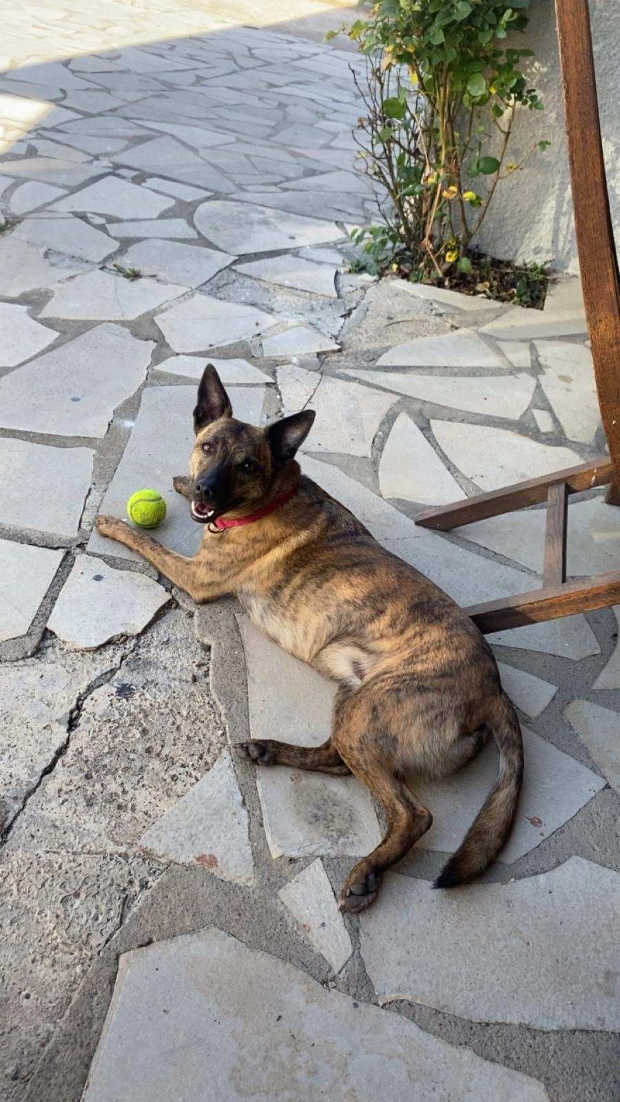 sally - Rue Saint-Jacques, Sergines