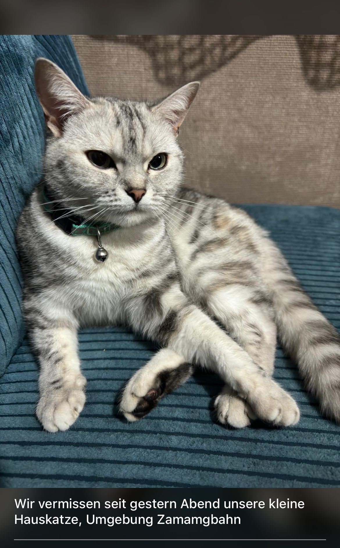 Mitzi - Silvrettastraße, Schruns