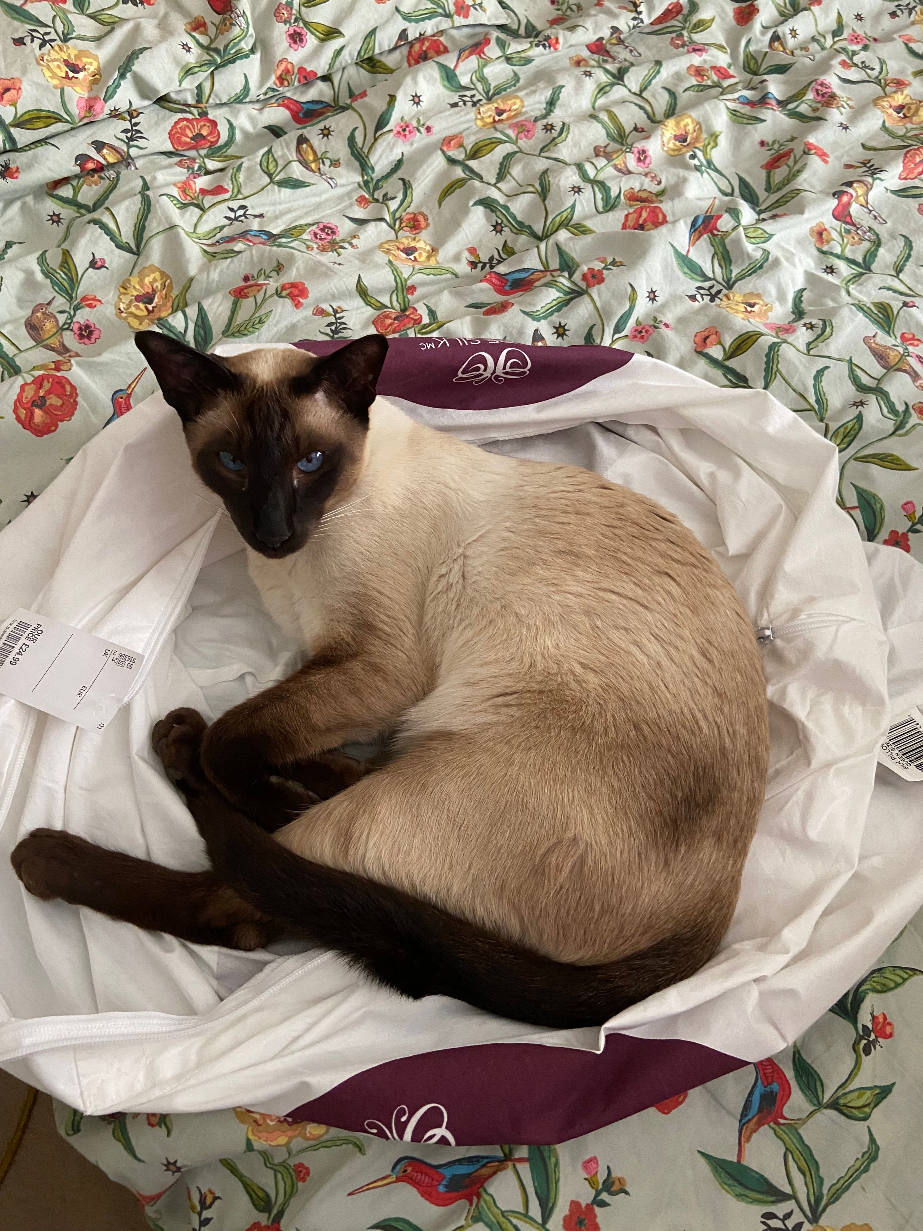 Nile’s - 18 Mond Crescent, Billingham