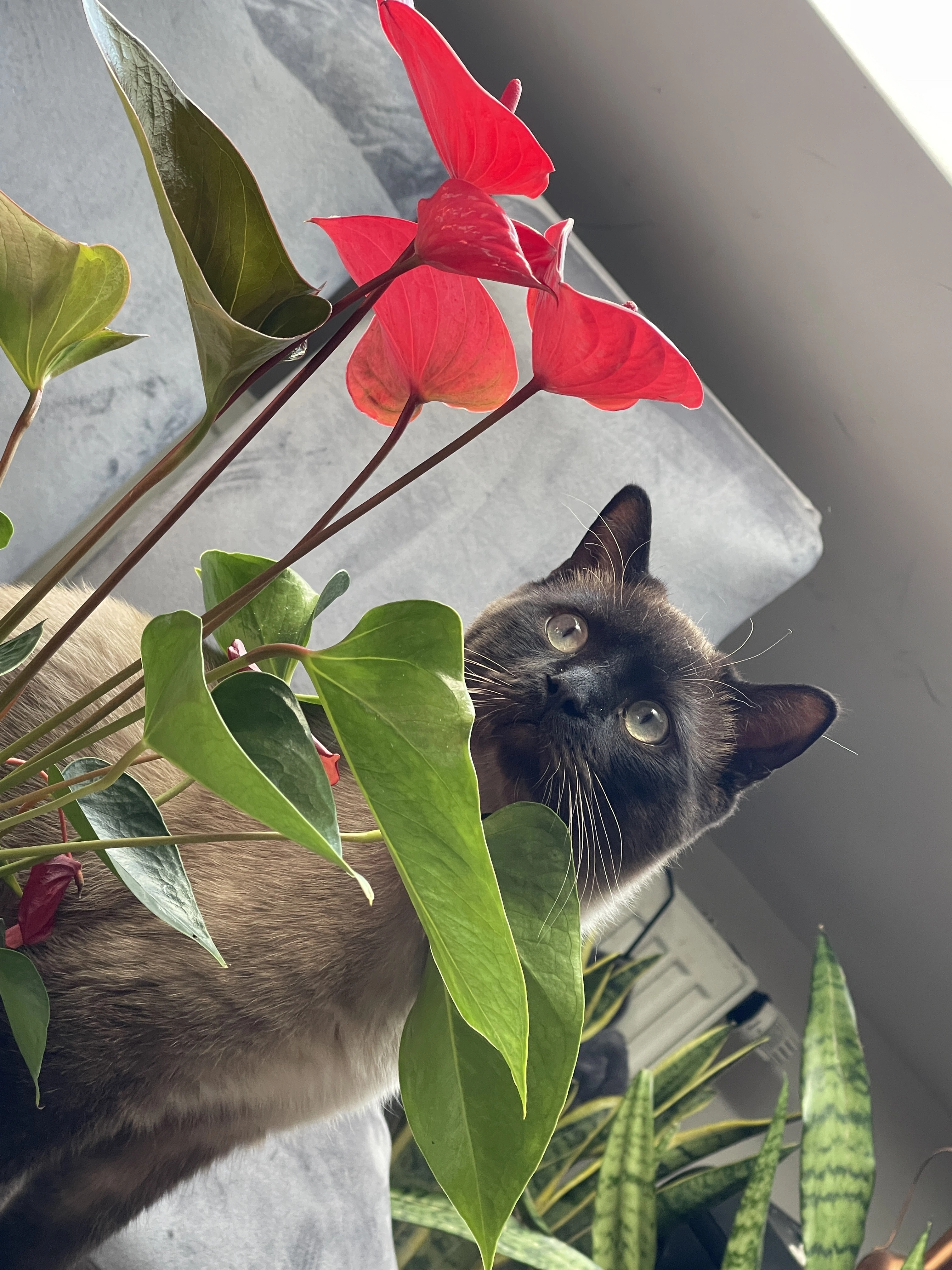 Maika - Binger Straße, Ingelheim am Rhein