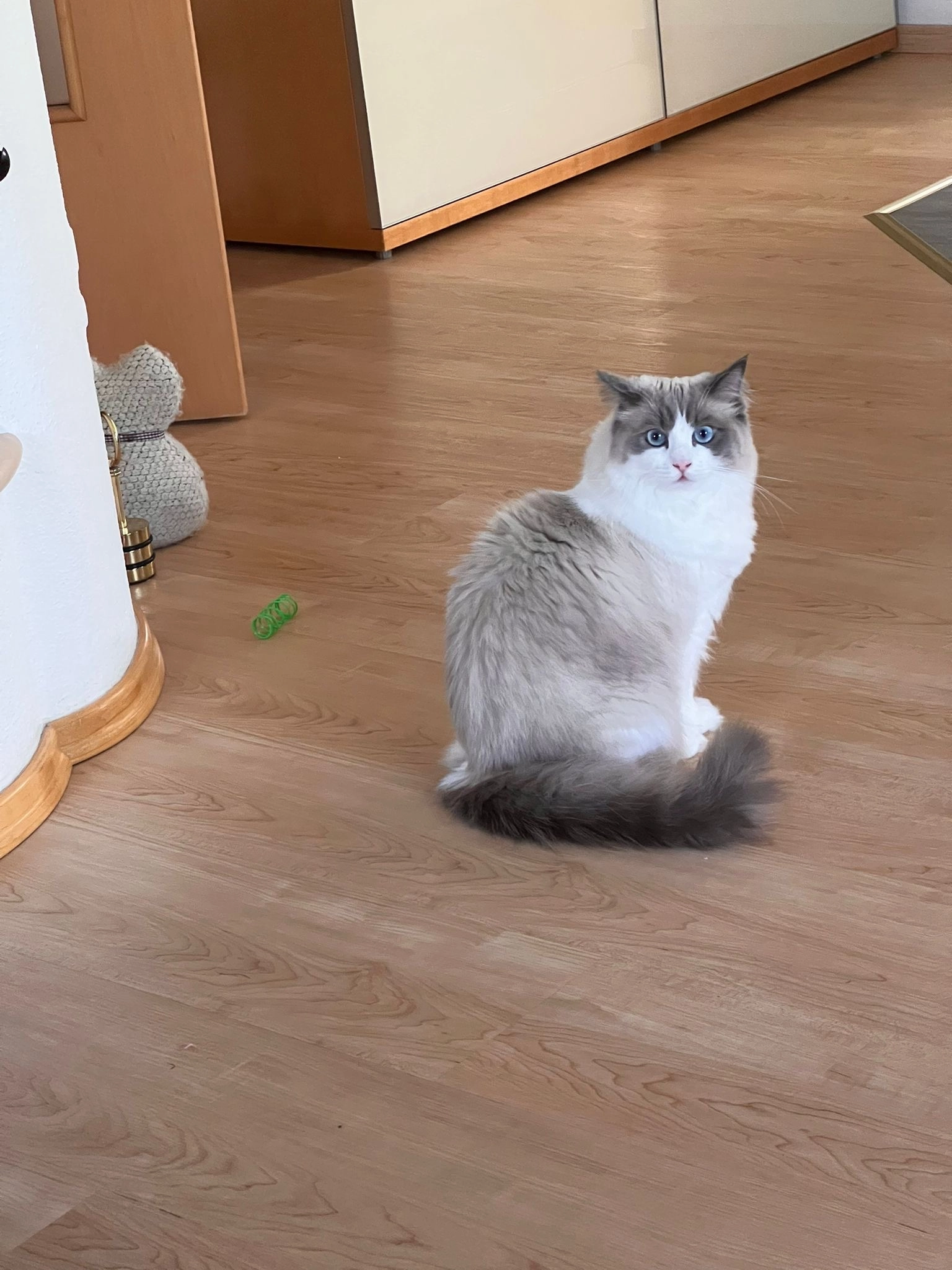 Lilly - Tangerner Weg 18, Spittal an der Drau