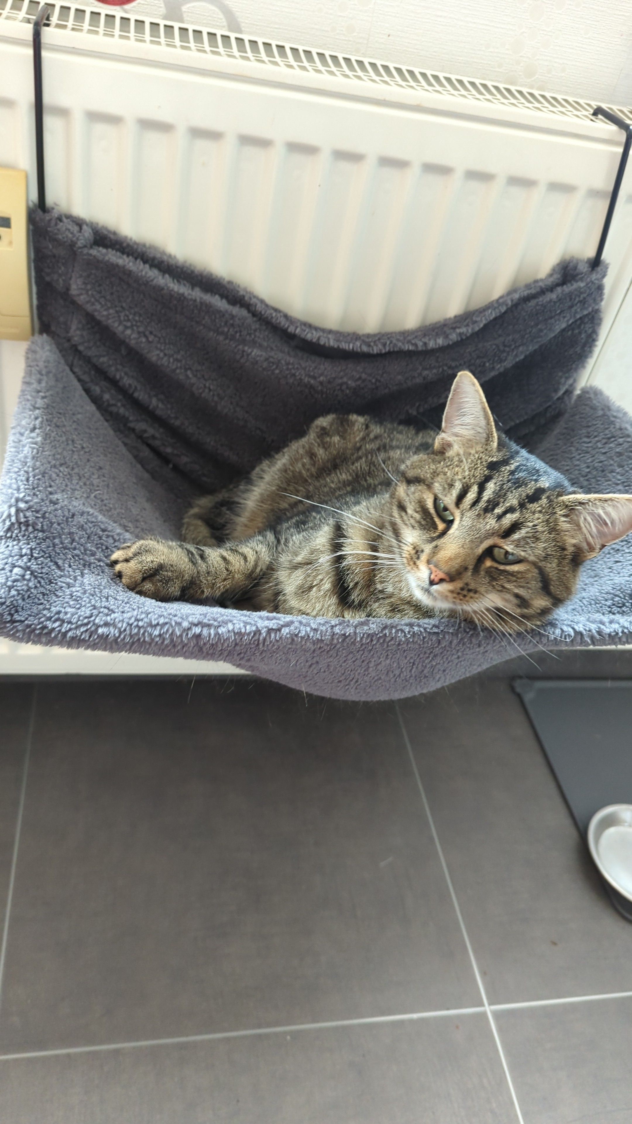 Charlie - Lauensteiner Weg, Gräfenthal