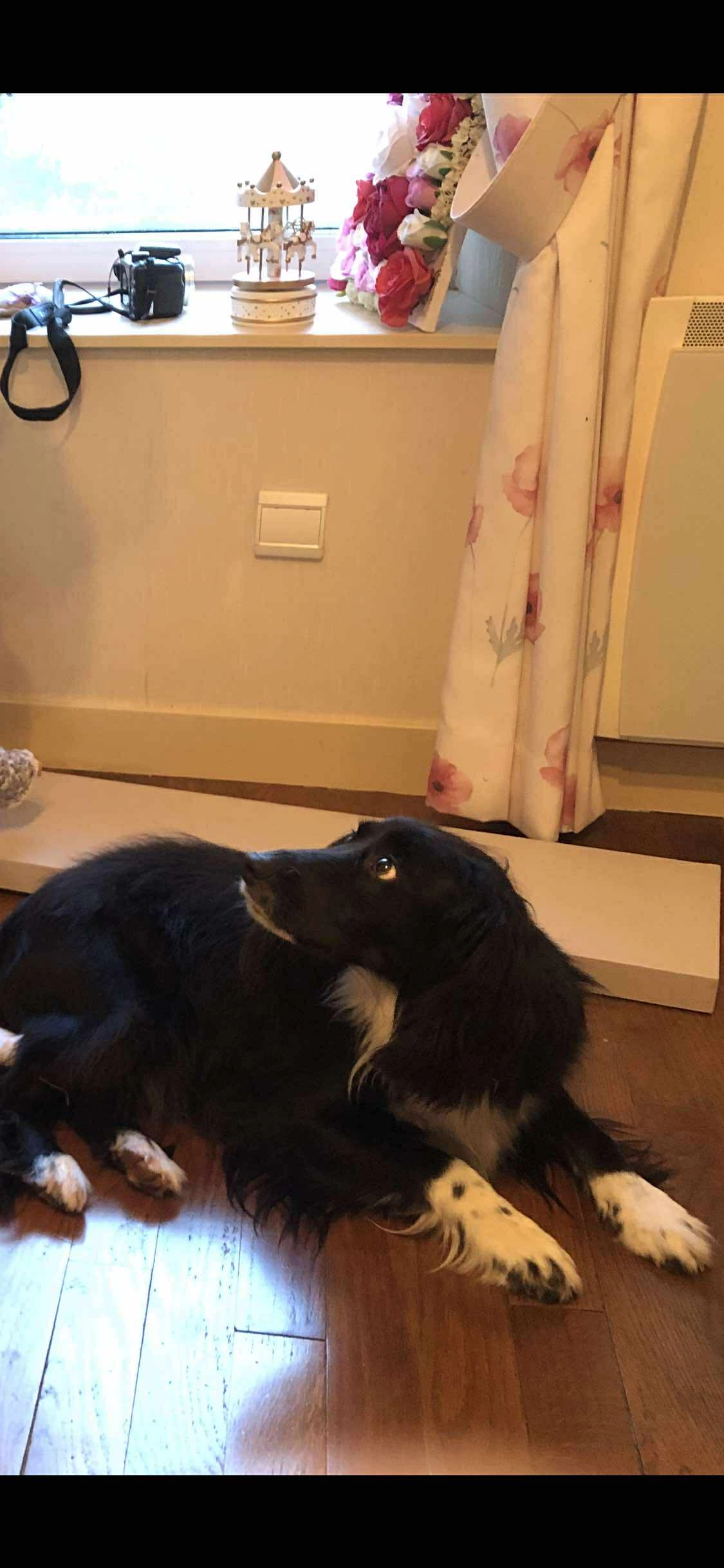 Oky - 8 Rue Frédéric Mistral, Elven