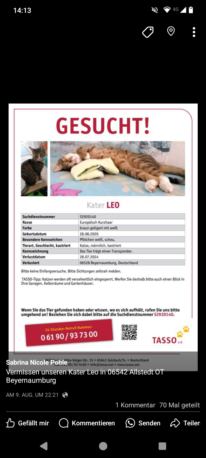 Leo  - Mittelweg, Allstedt