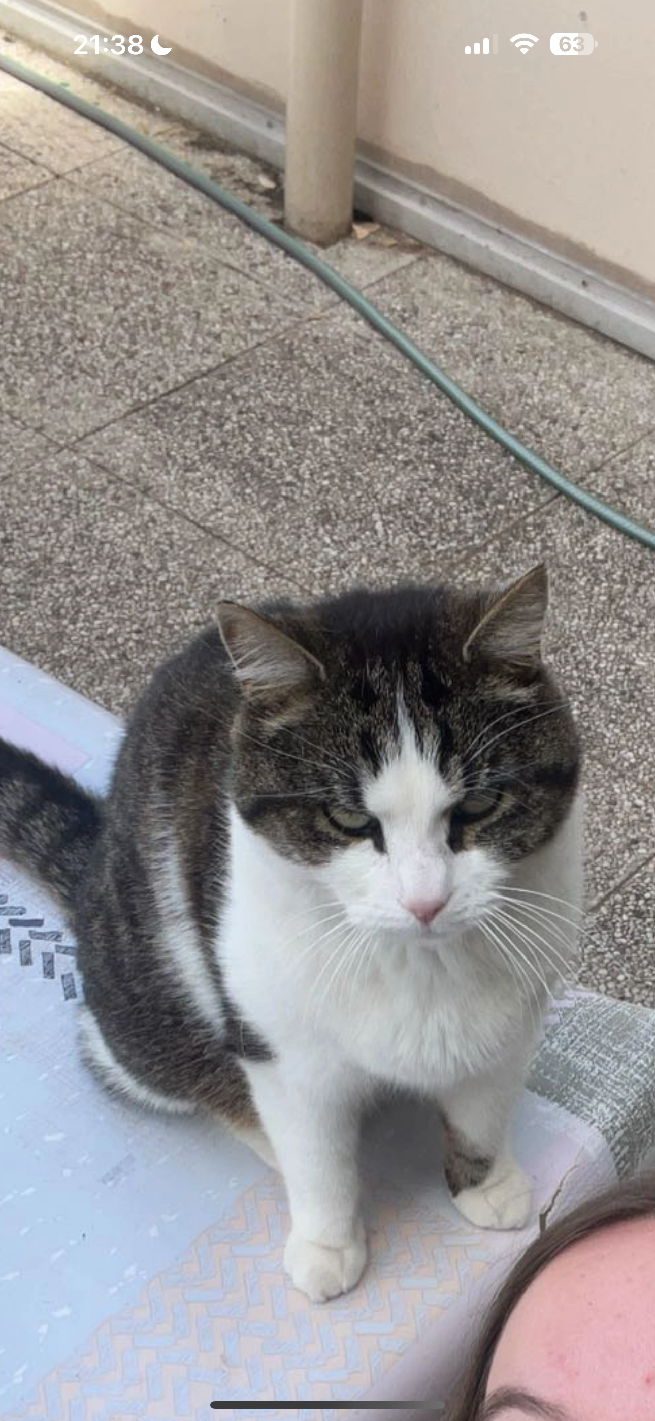 Iago - Le Trimoulet, Saint-Plantaire