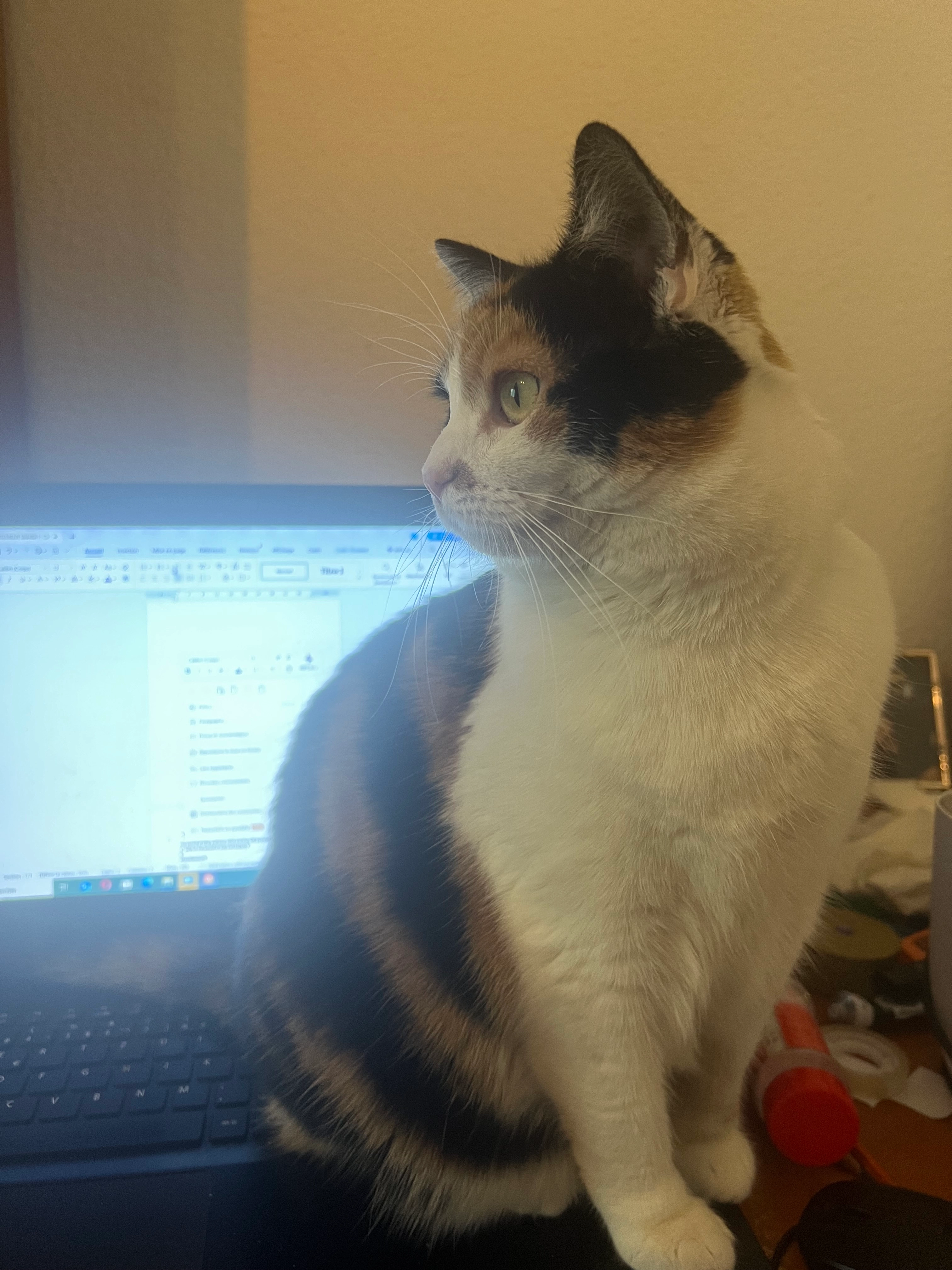 Kyoko - Chemin du Curé-Desclouds, Thônex