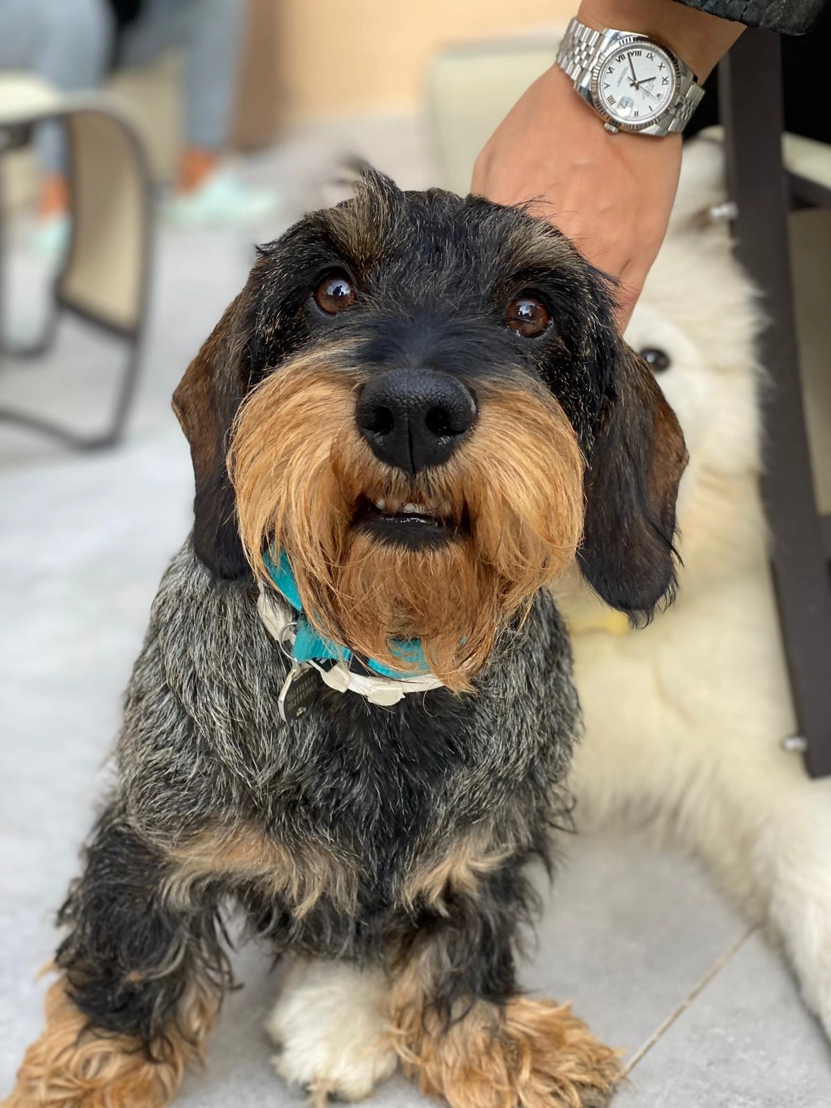 ICARE - Route De Valbrillant, Meyreuil