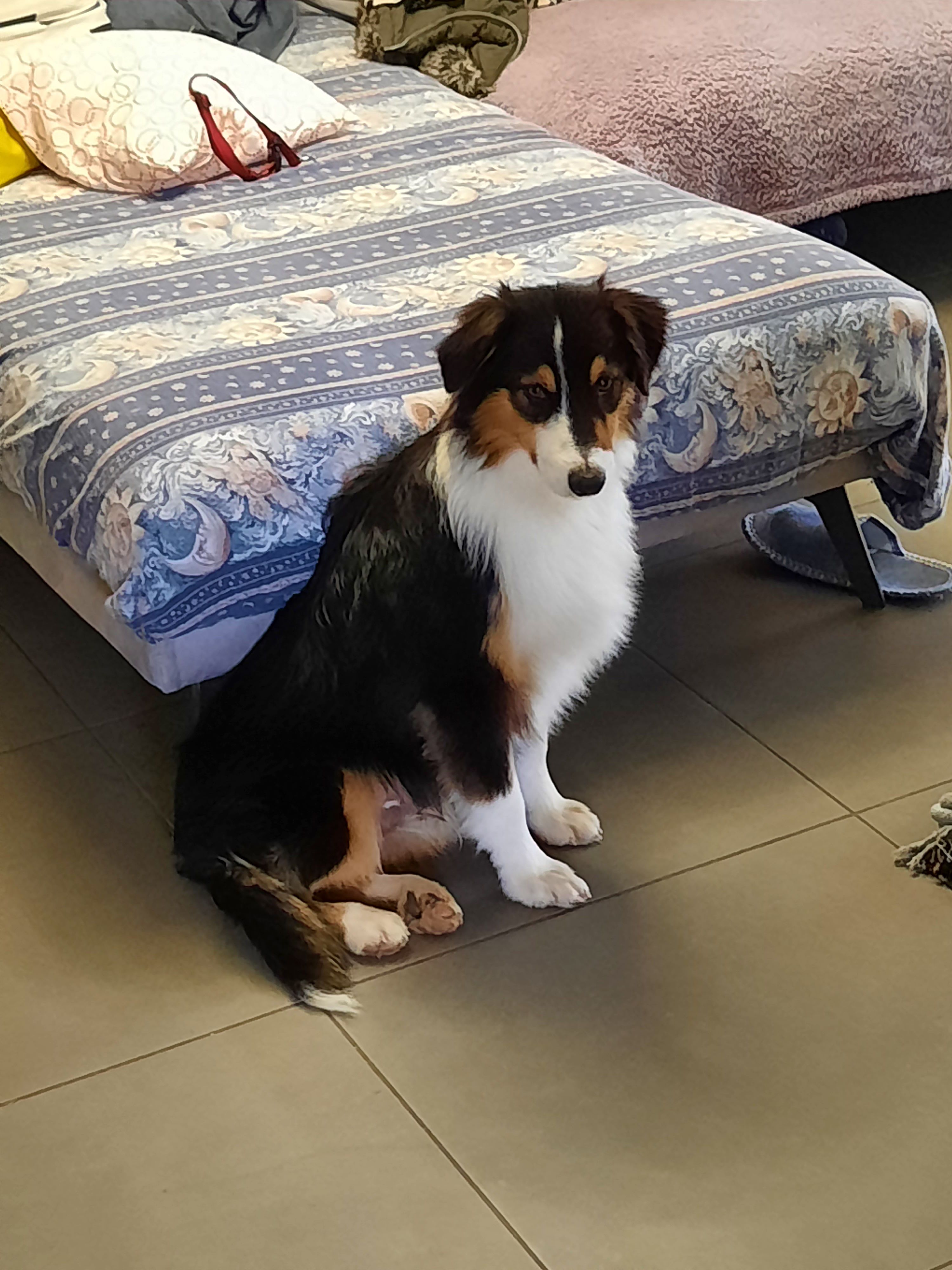 Zoom - Via Calastra, Rimini