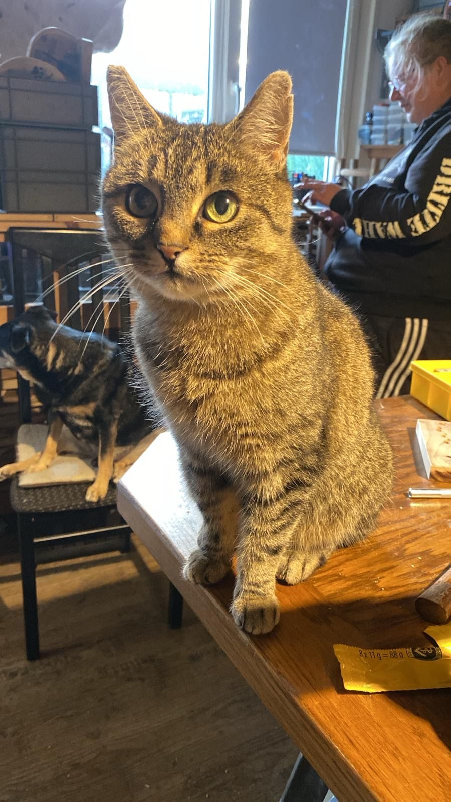 Maja - Holtkampstraße, Nordkirchen