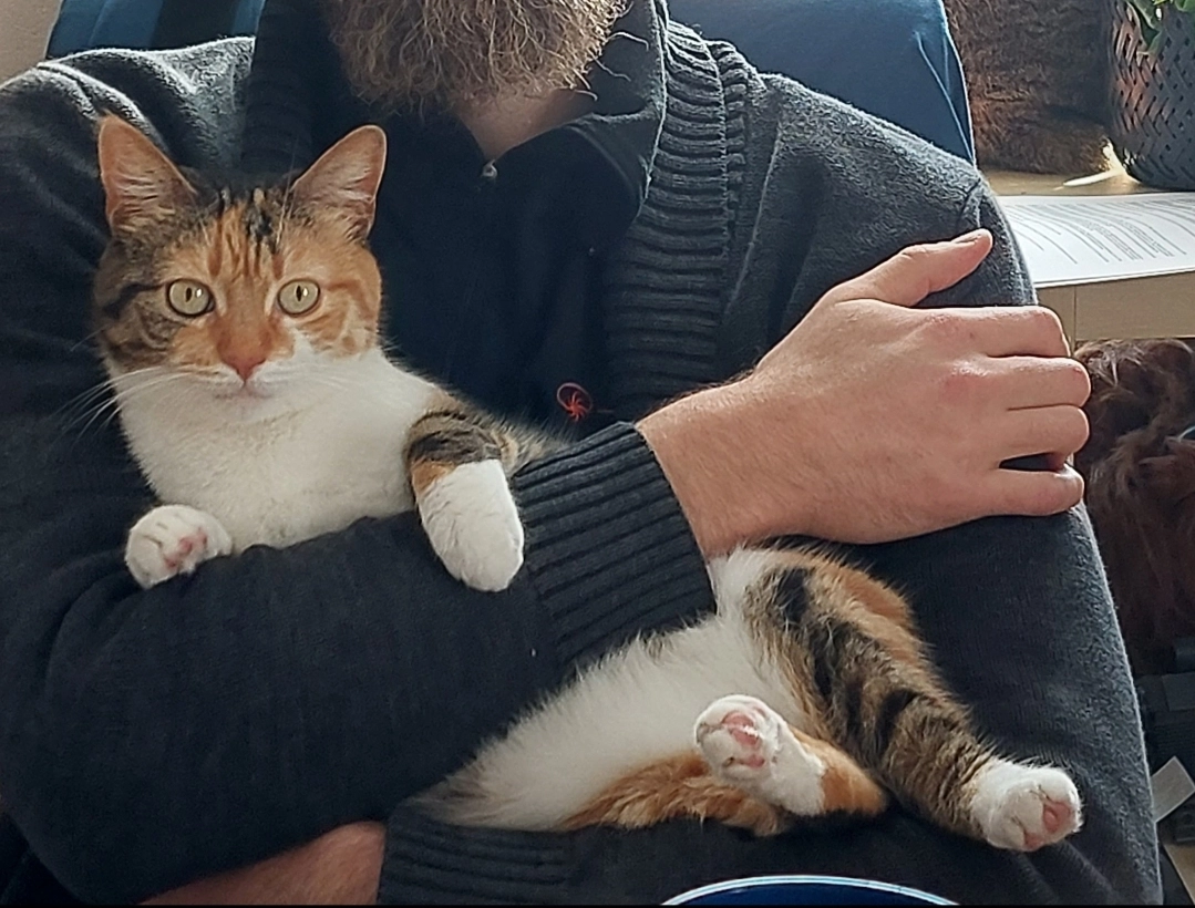 Mabel - Bahnstraße, Velten