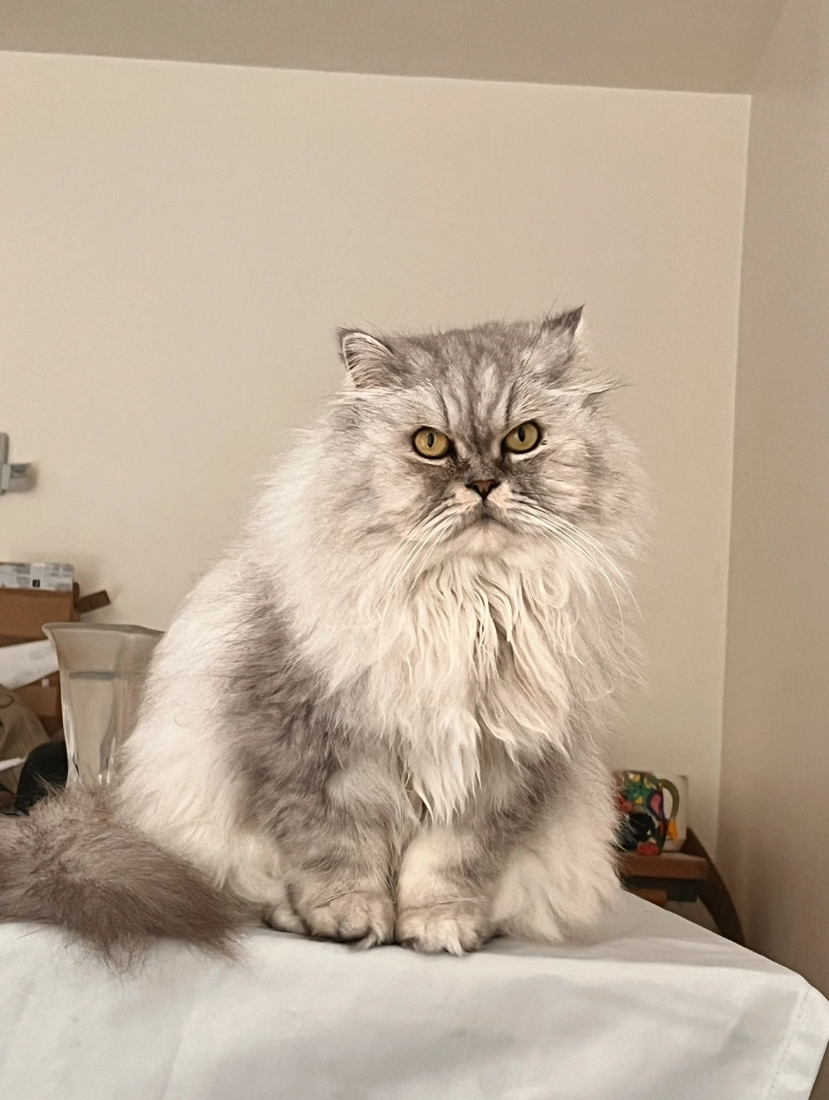 Flamme - 8 Rue du 8 Mai 1945, Missillac