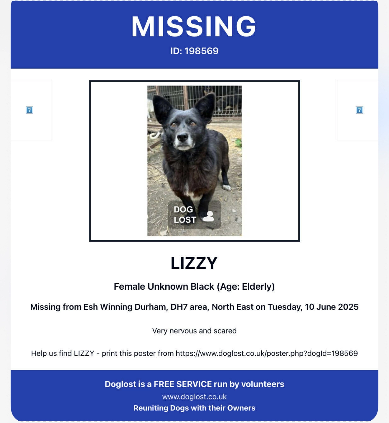 Lizzie - DH7 9PF, Durham