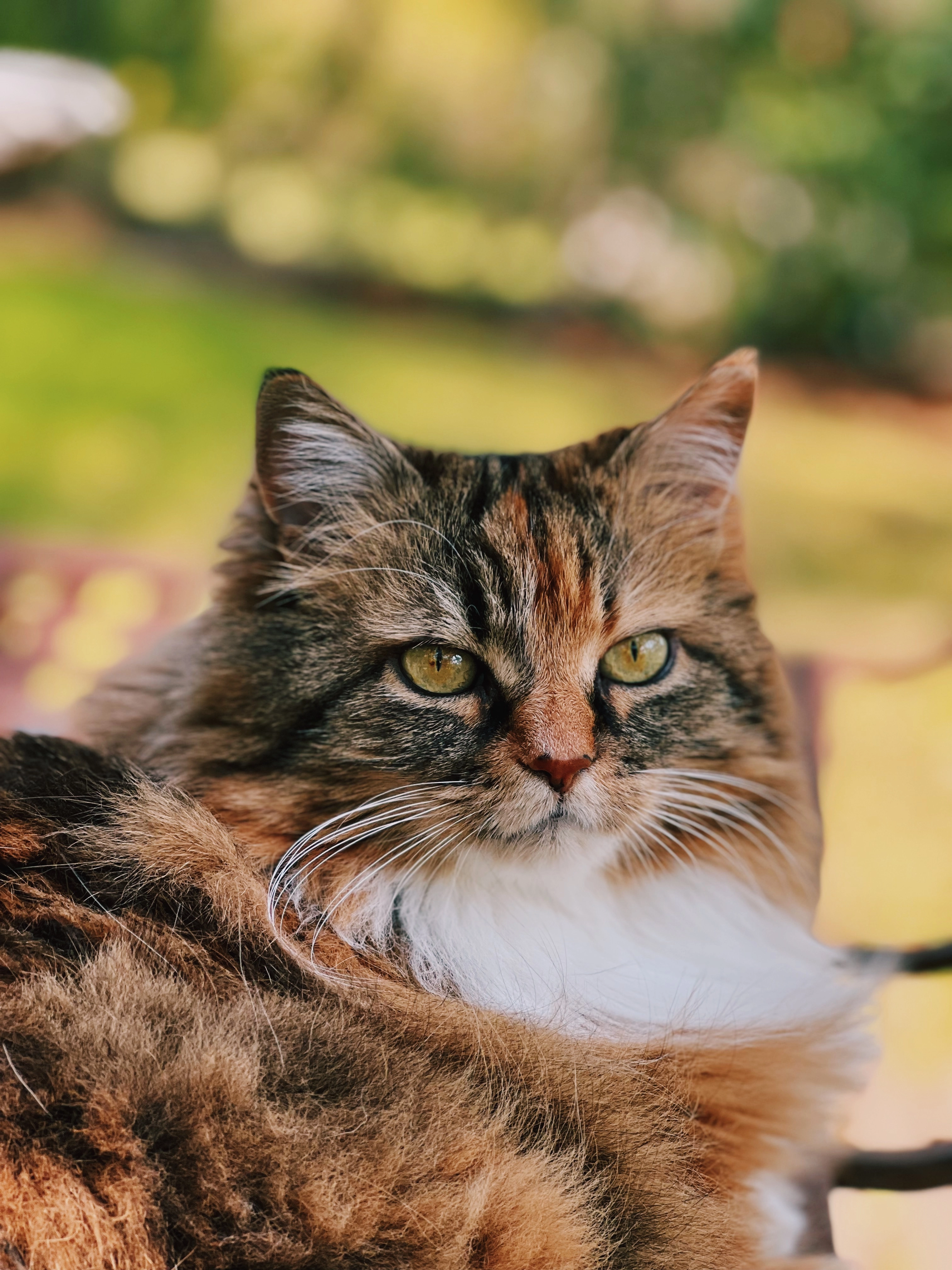 Easy - 85 Rue Bellevue, Le Pradet