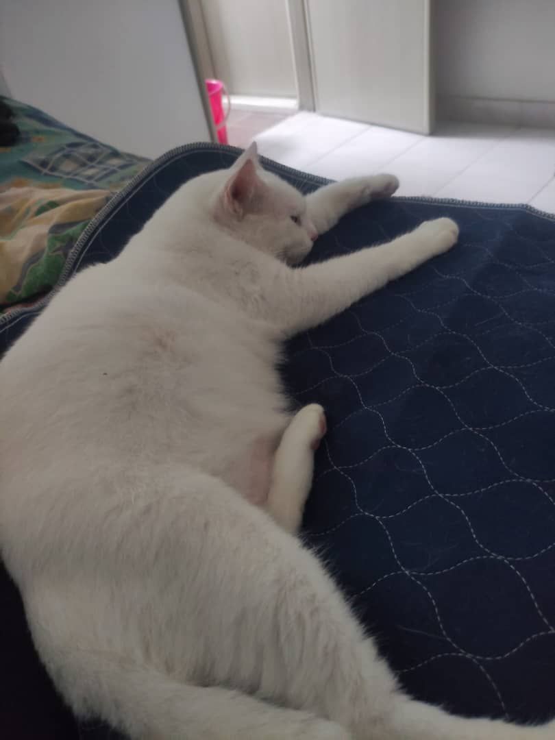 Rocky  - 48000, Rawang