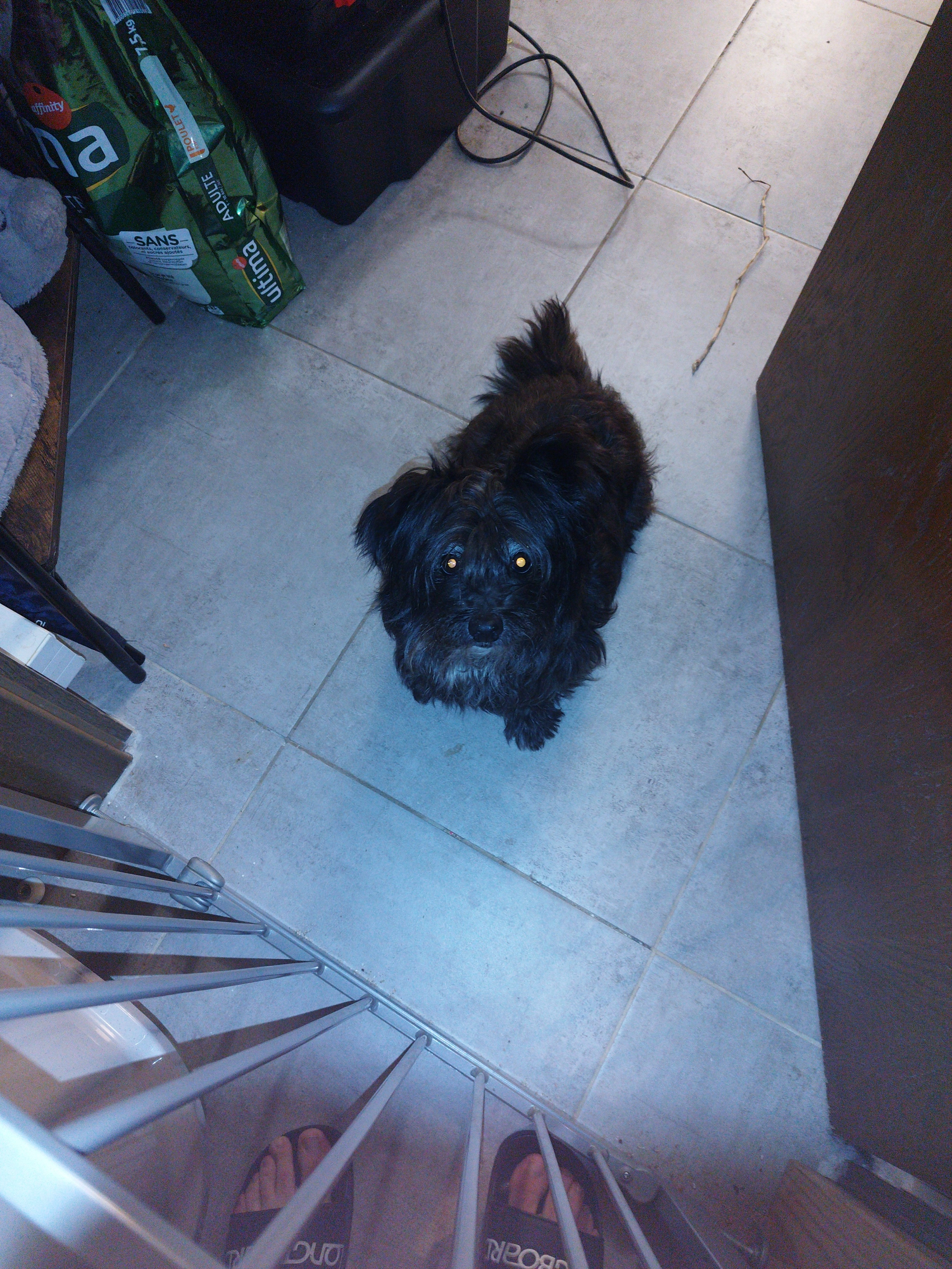 Chika - Rue Latérale 7, Chevilly-Larue