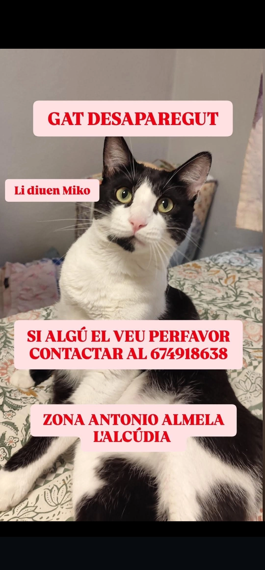 Miko - Avenida de Antonio Almela, L'Alcúdia