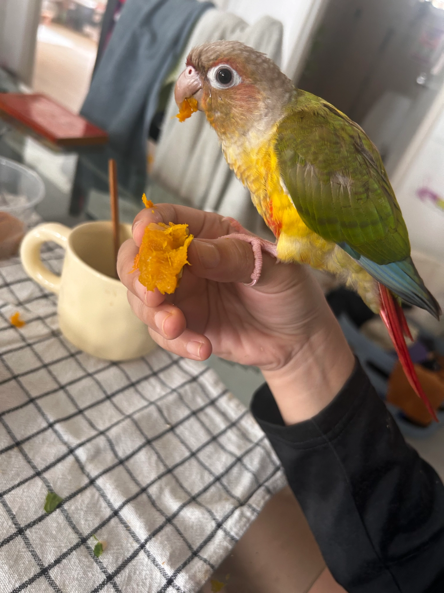 Kiki - Jalan Pantai Murni, Kuala Lumpur