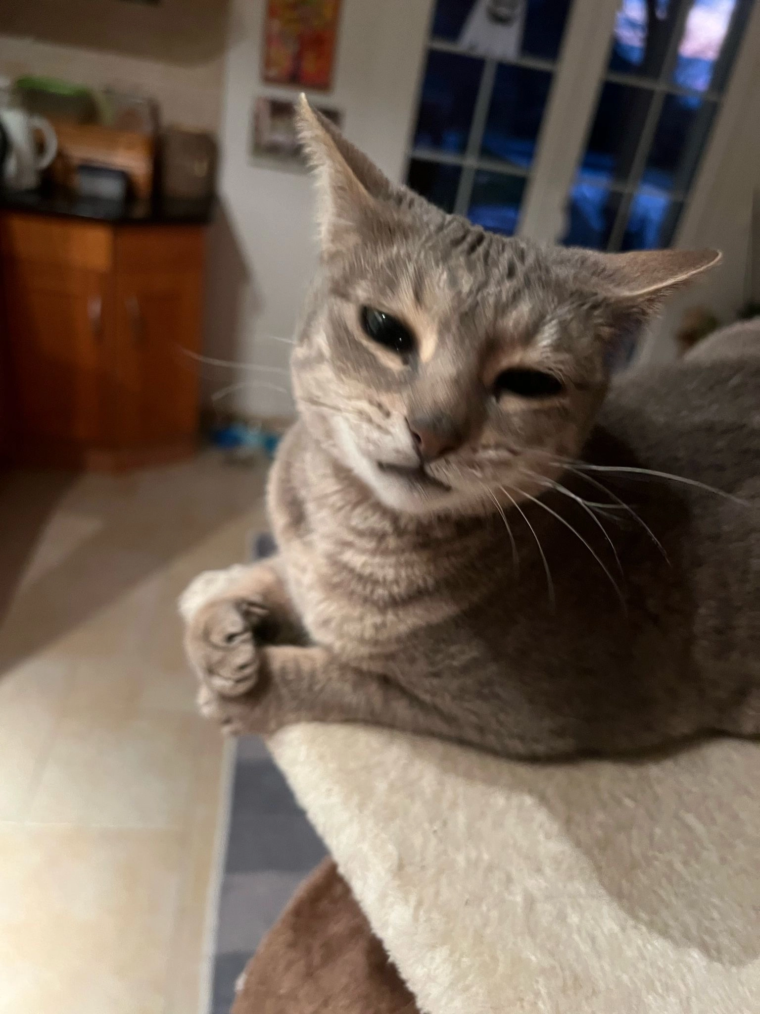 Suna - Chemin du Jura 2, Montilliez