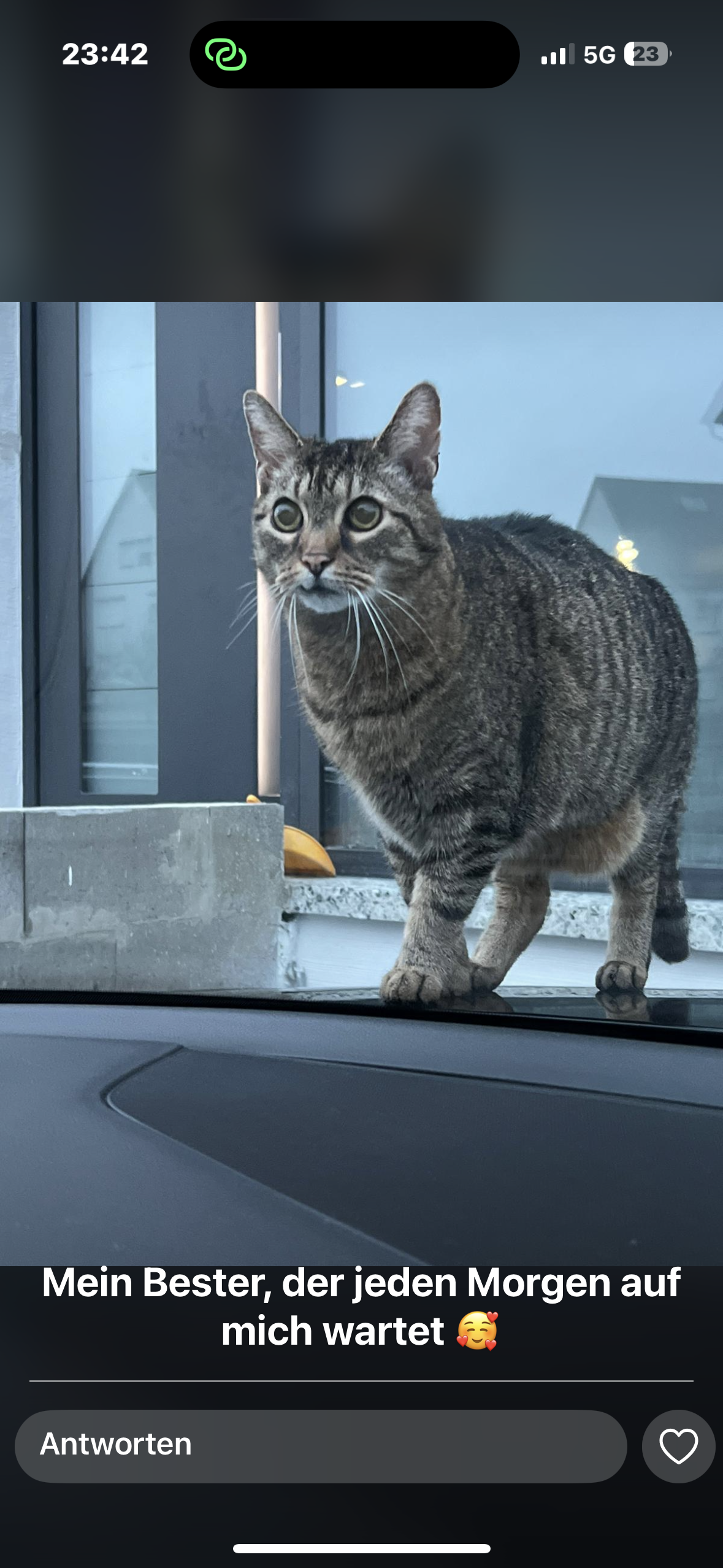 Pablo - Grifter Weg, Baunatal