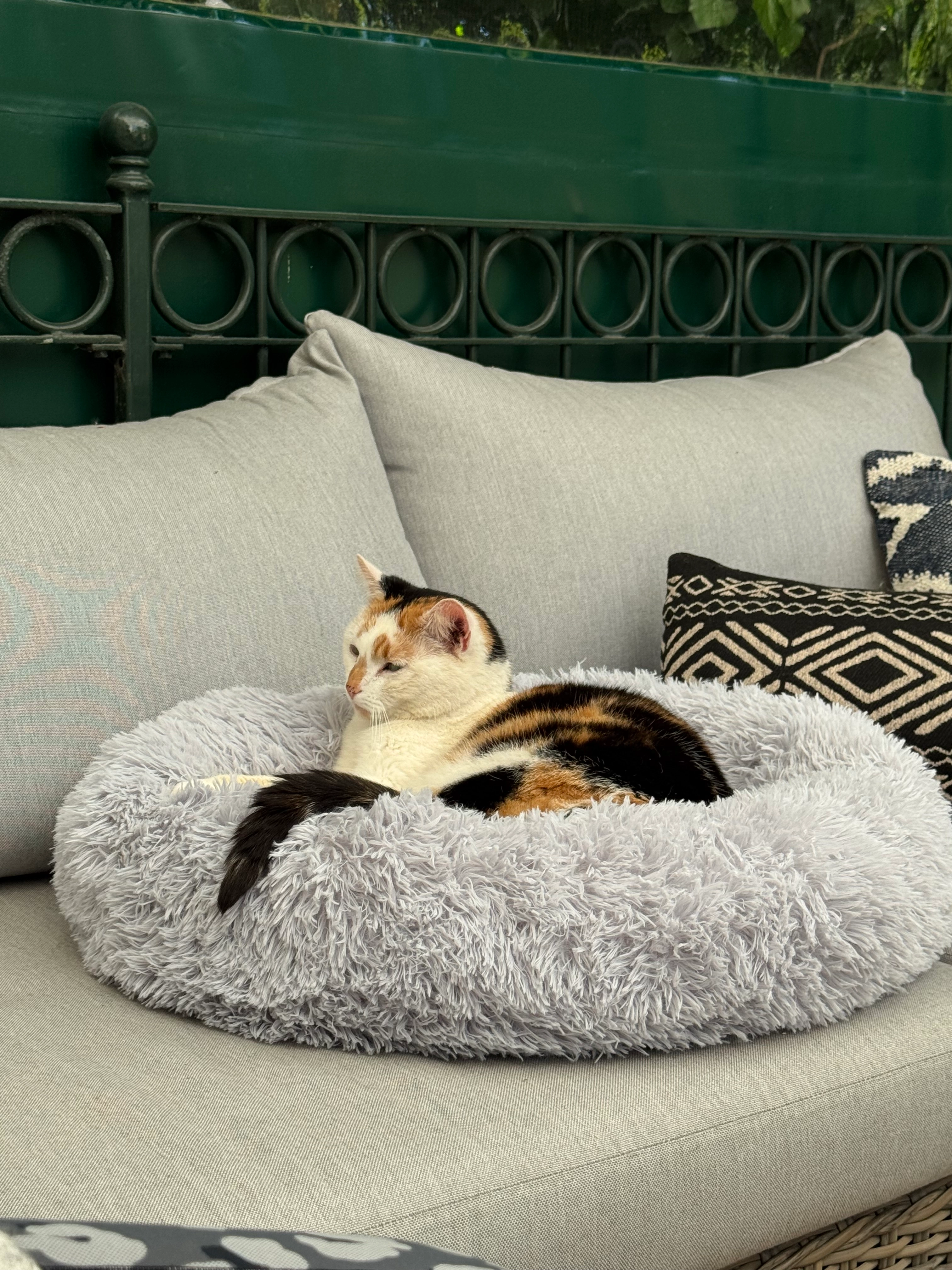 Suri - Rosenstraße, Springe