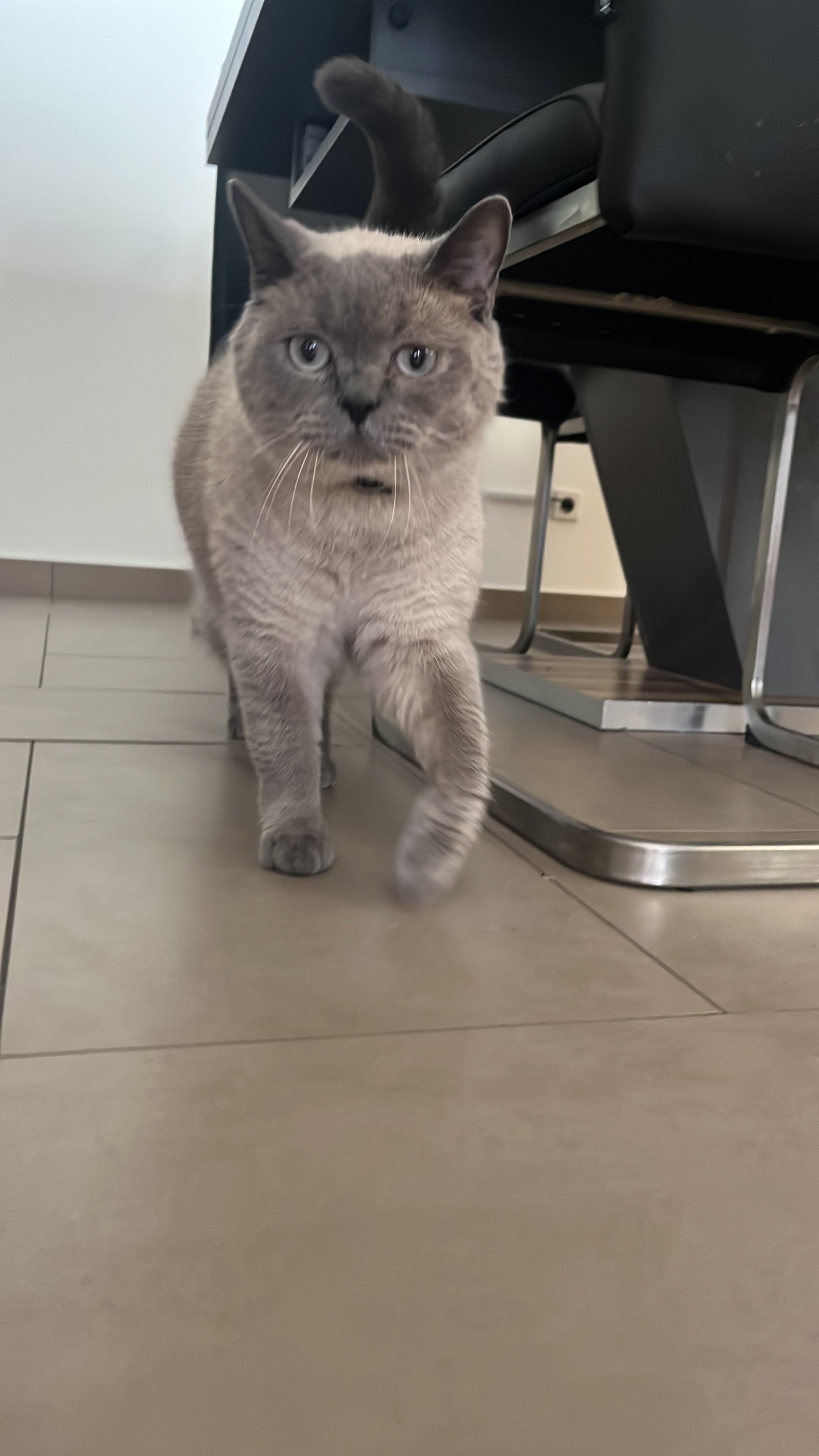 Filou  - Arkonastraße, Sassnitz