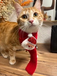 Masha - Jurastrasse 5, Biel