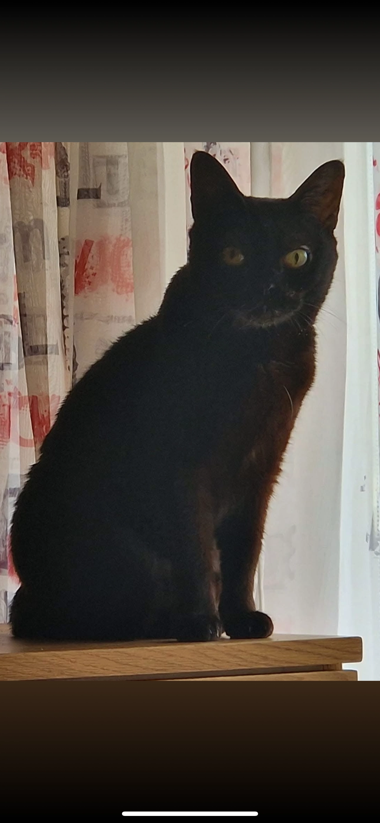 Jade - Route de l'Arche 20, Bex