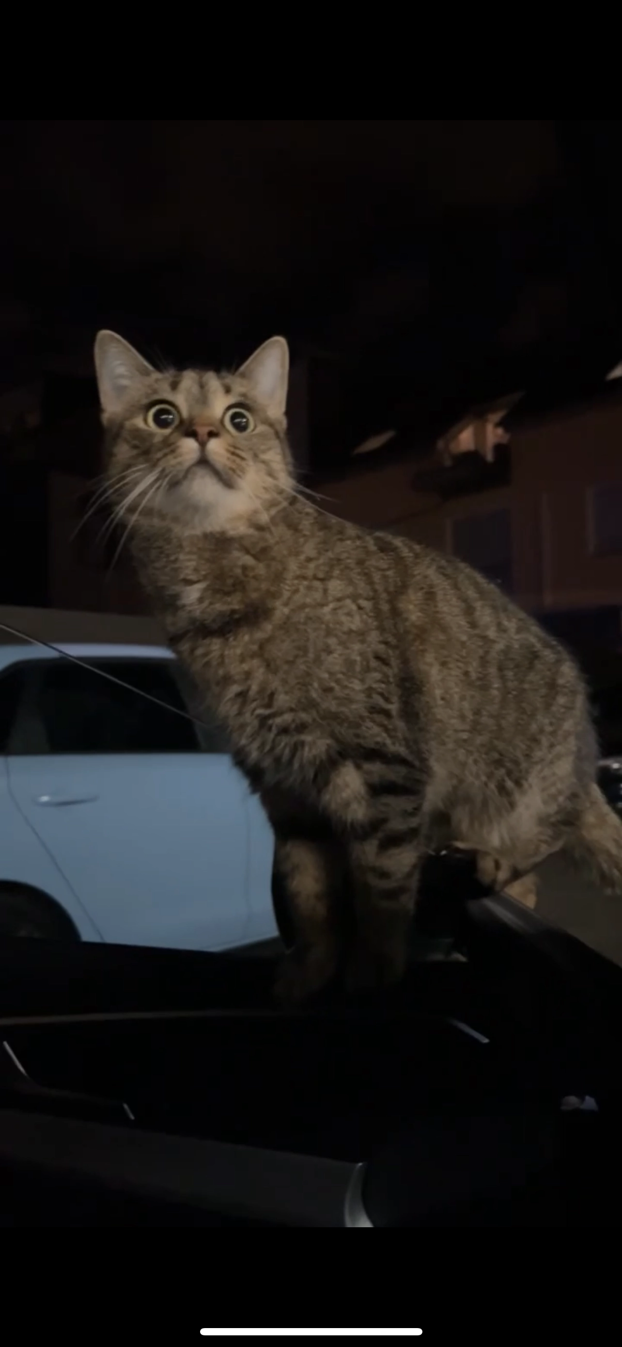 Nala - Westmarkstraße, Oberhausen