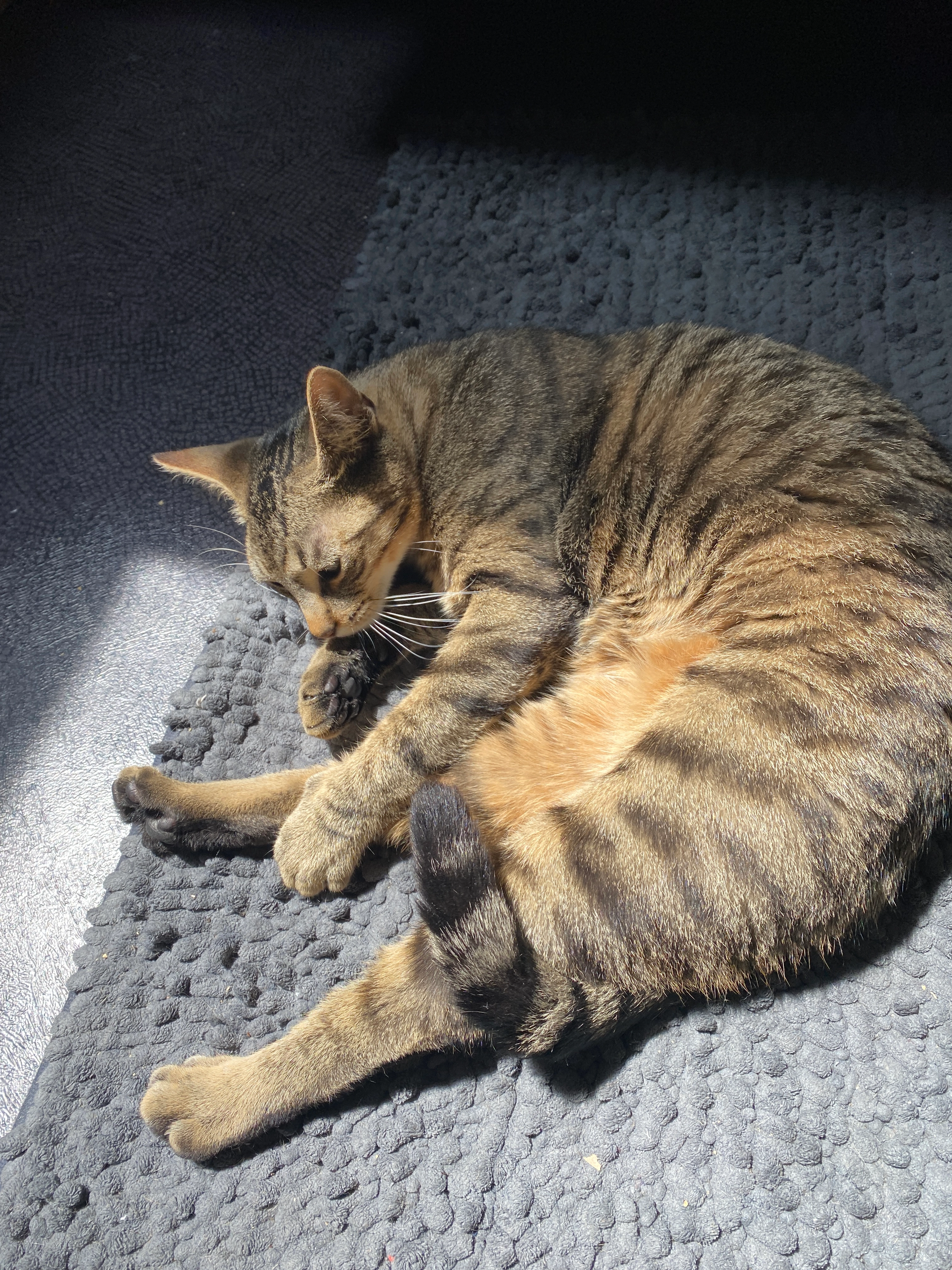 Eliott - 24 Rue Kléber, Angers