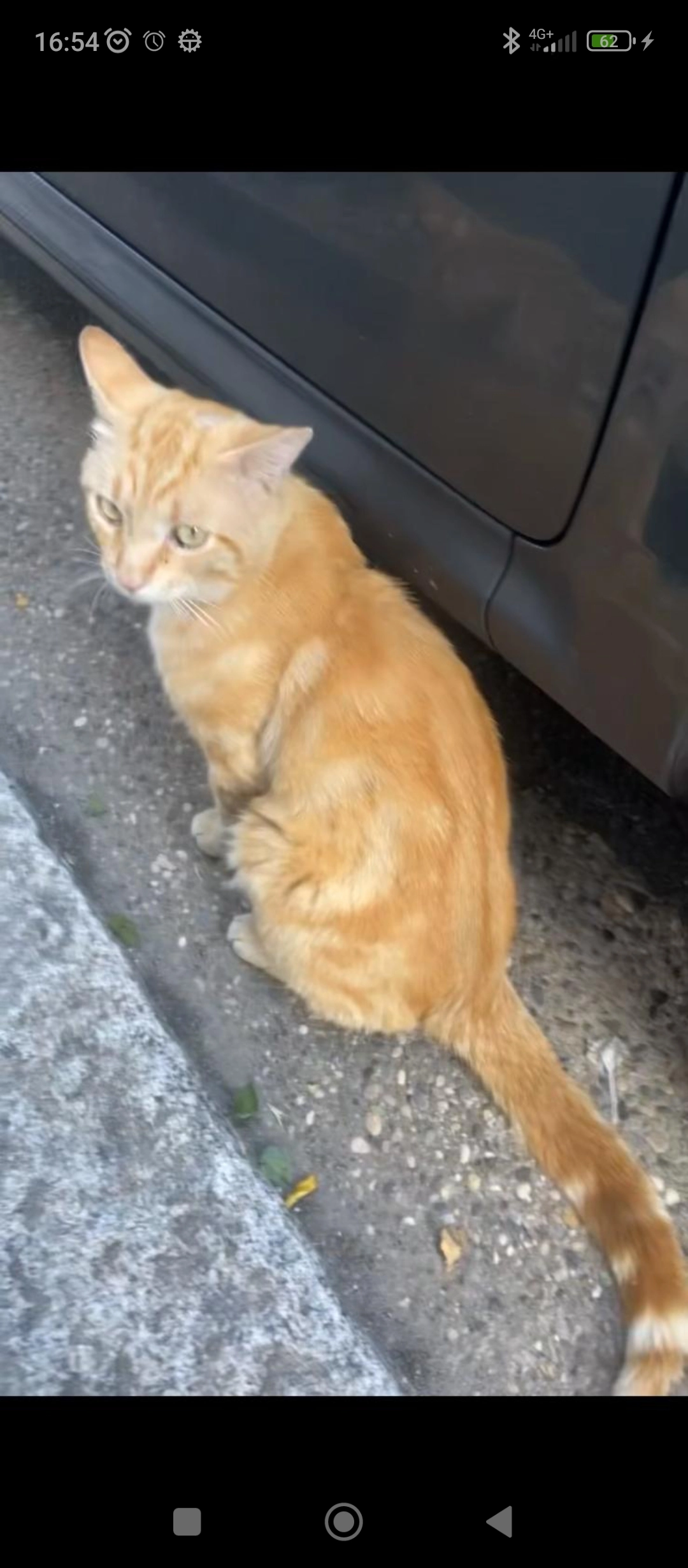 Memew - 23 Rue Guillotte, Villeurbanne