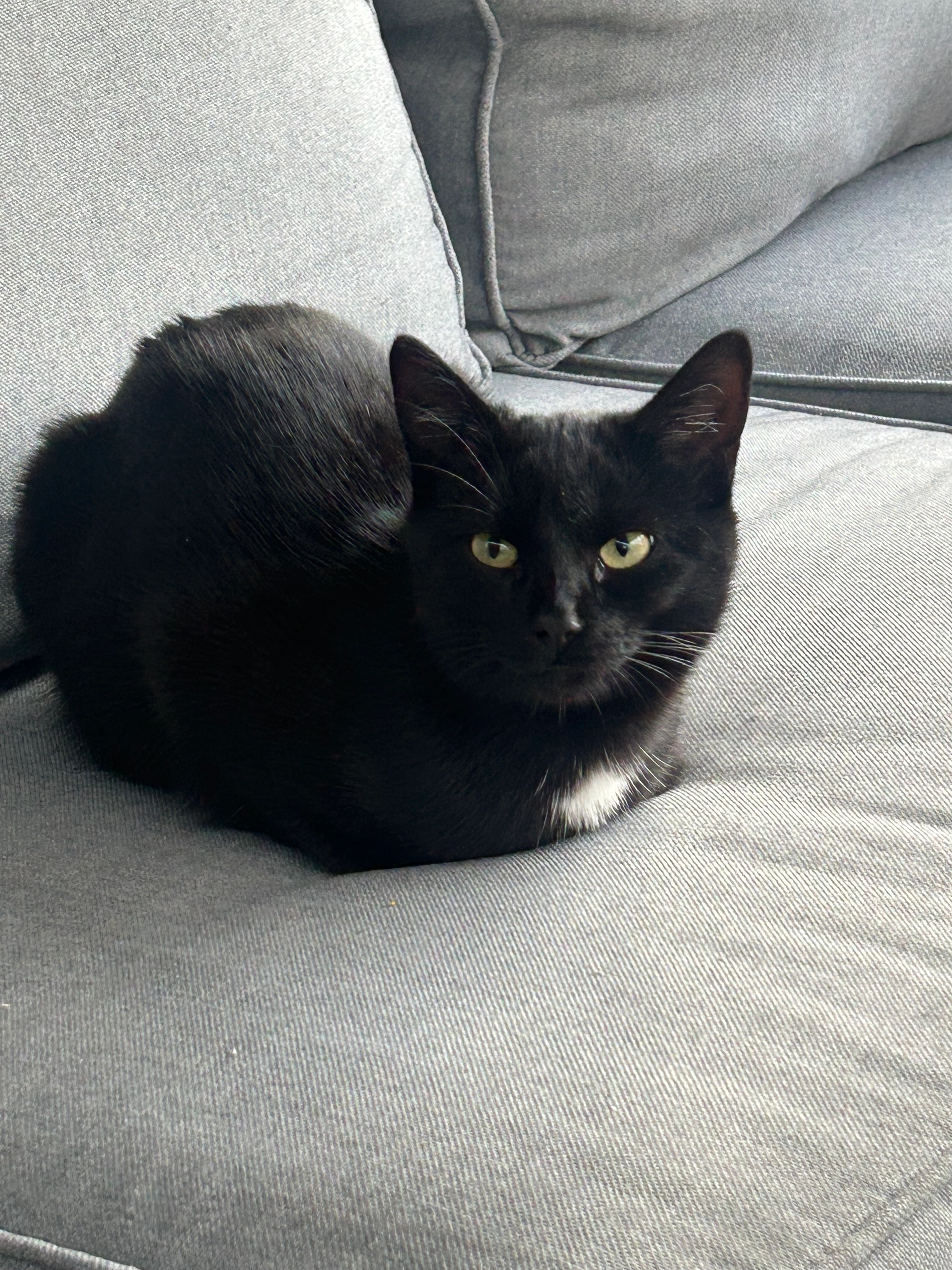 maja - G.J. van Leersumstraat, Winkel