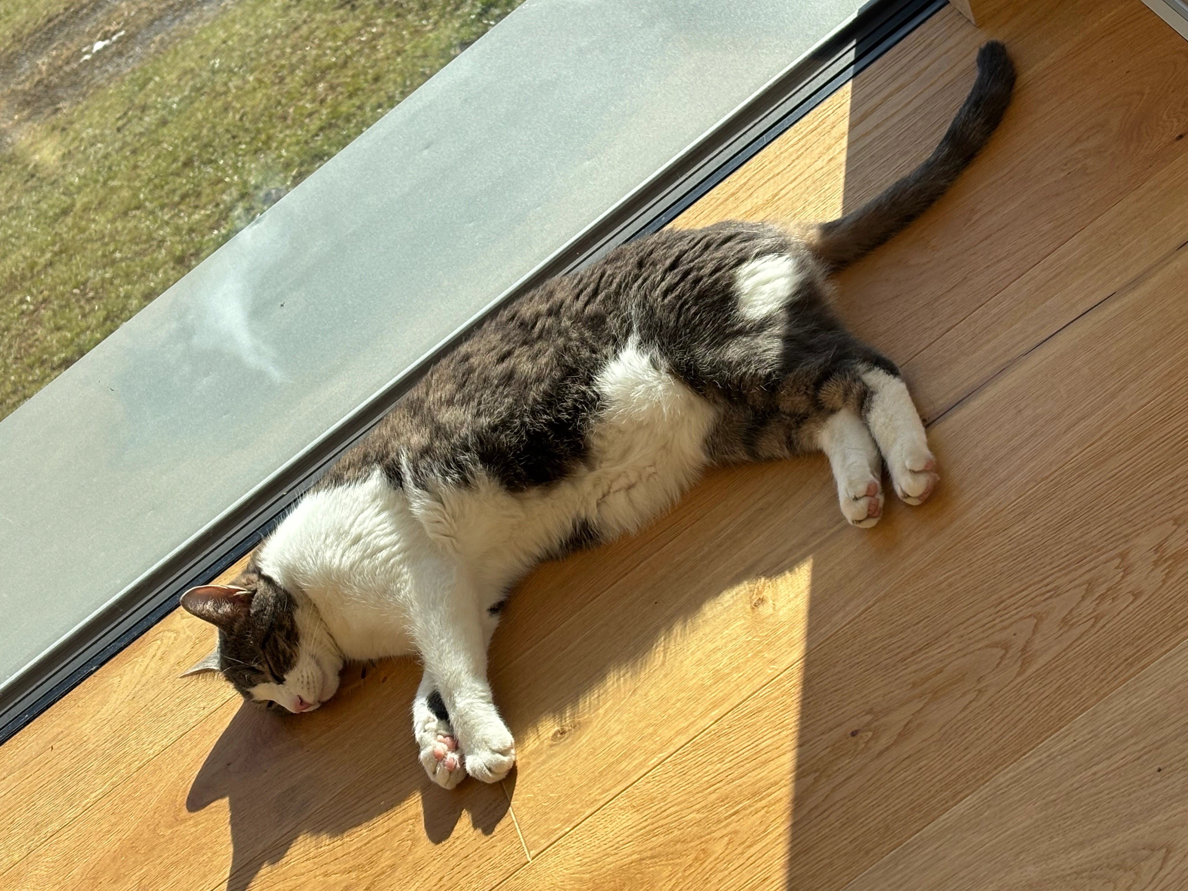 Charlie - Corso Marconi, Ospedaletti