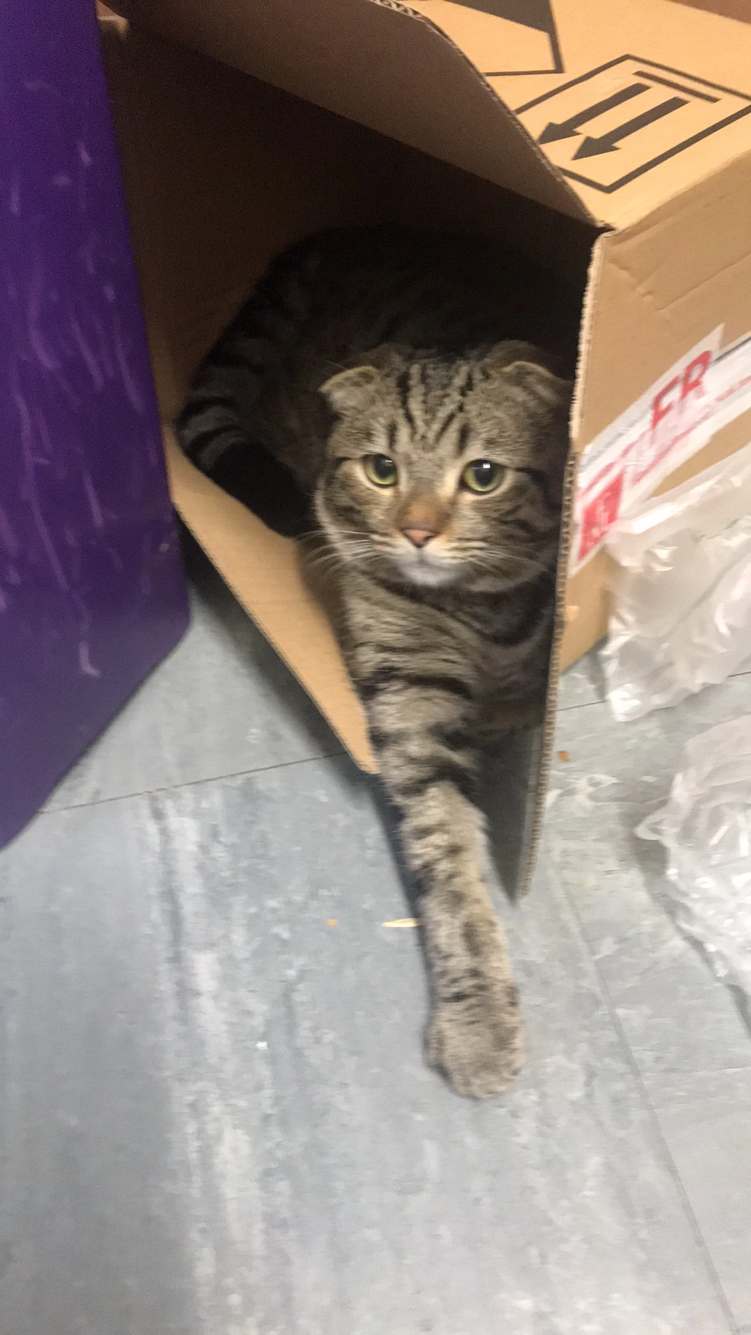 Mikis - South Street, Bourne