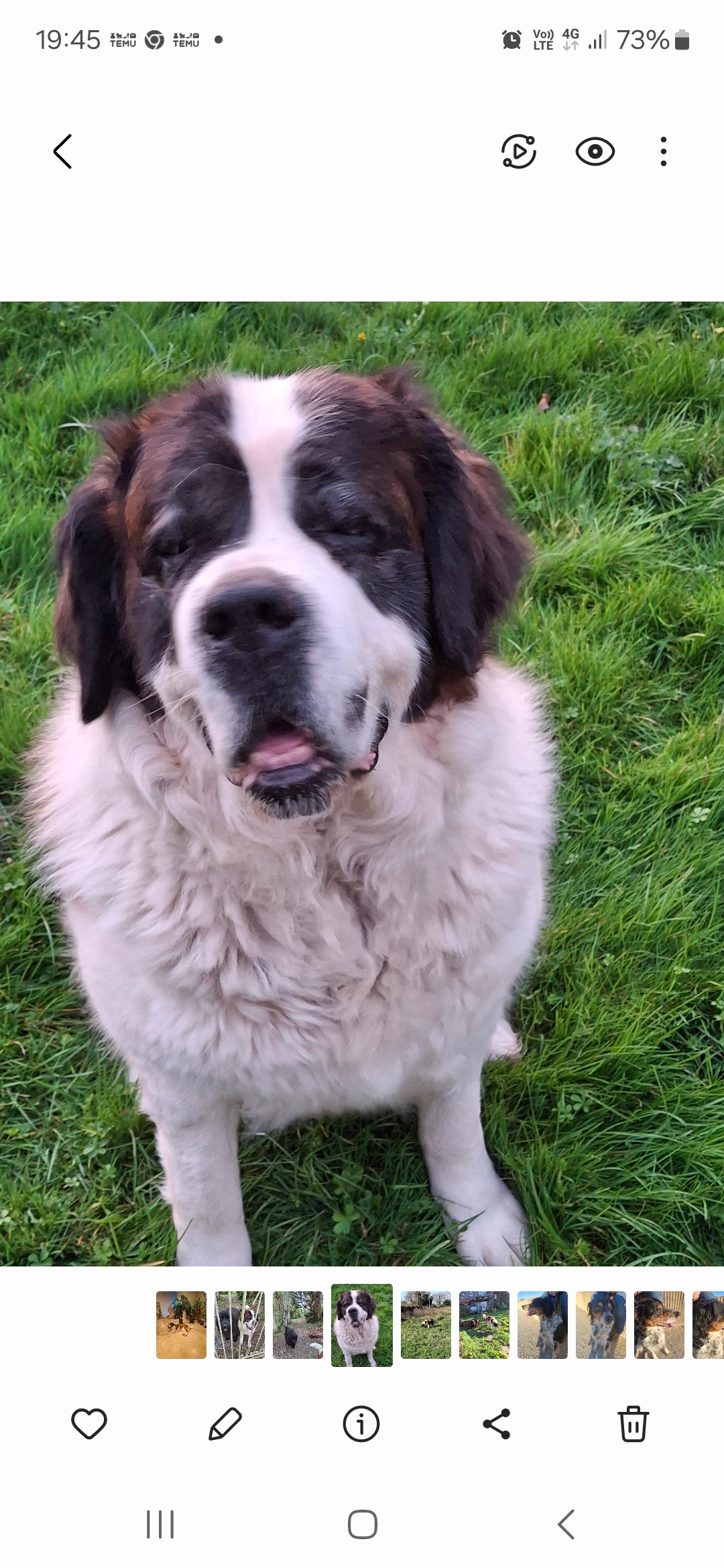 JAICA - 757 Route d'Orthez, Saint-Boès